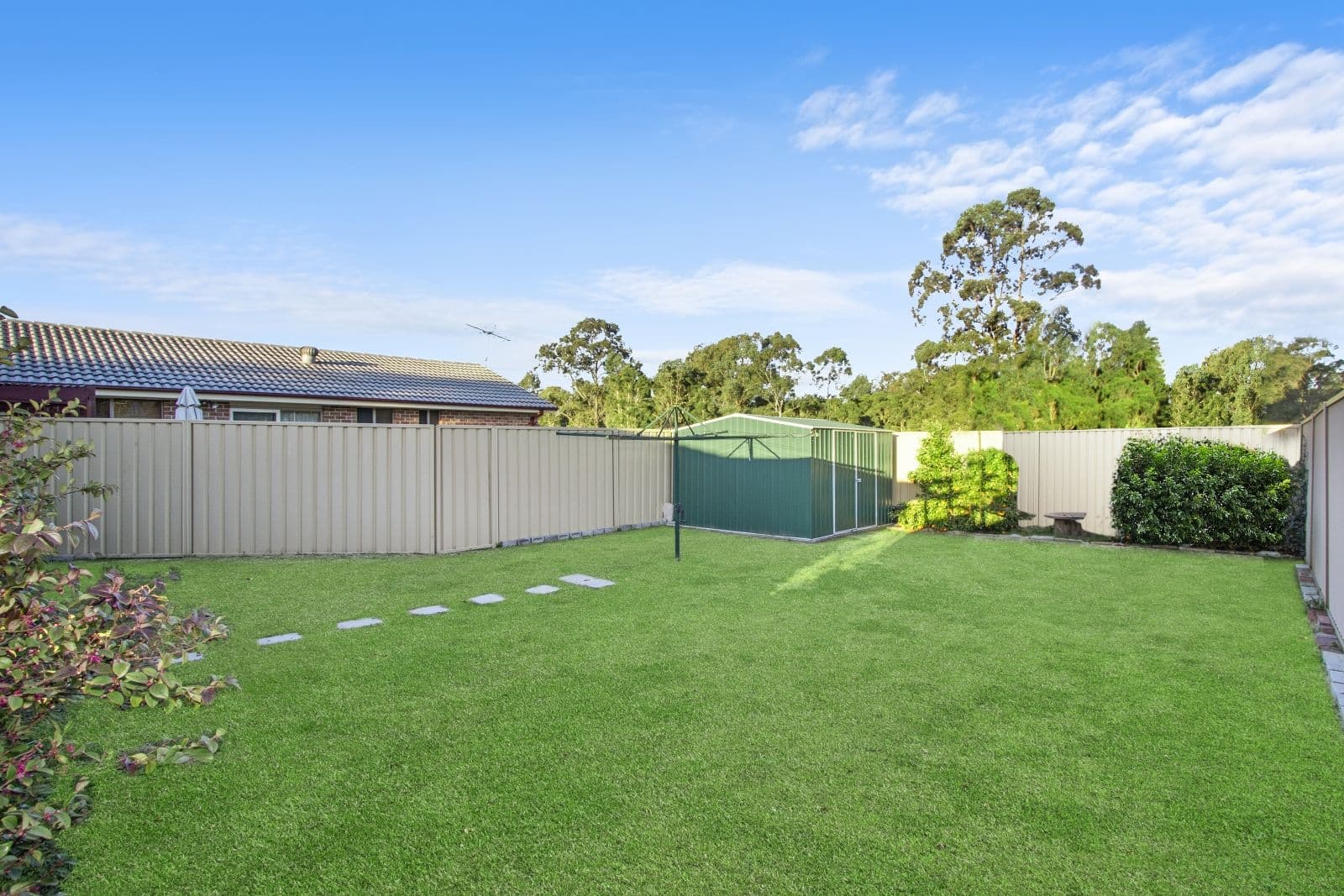 11 Risbey Place, Bligh Park - Thumbnail 6