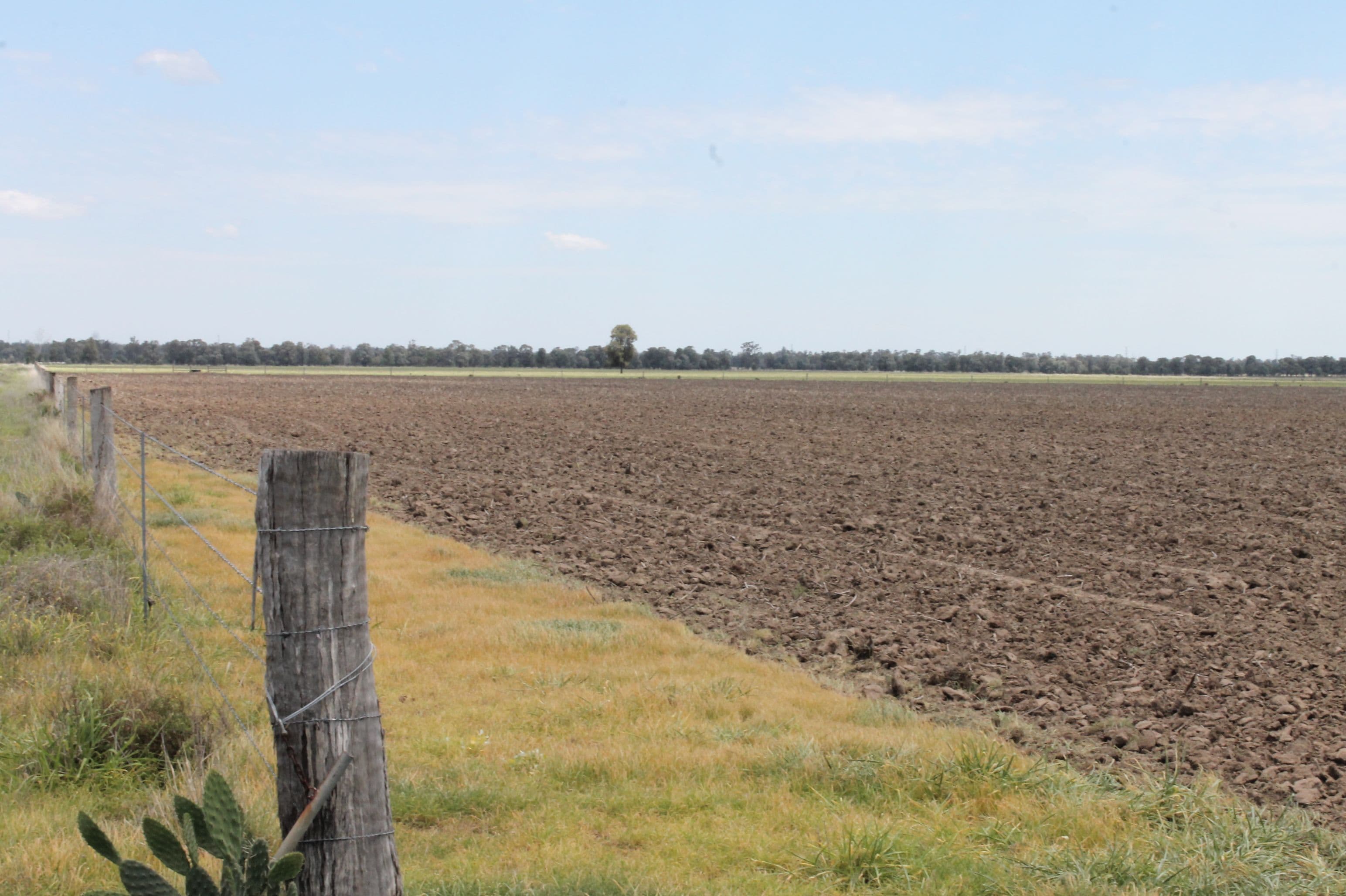 . Millmerran-Cecil Plains Road, Cecil Plains QLD 4407, Cecil Plains - Image 1