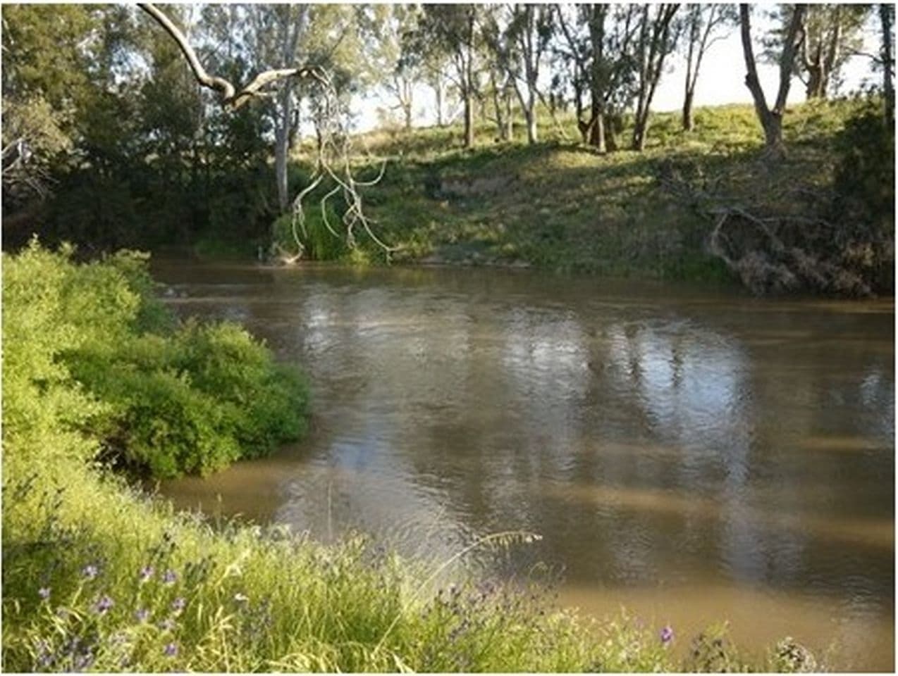 Canowindra NSW 2804, Canowindra - Thumbnail 2