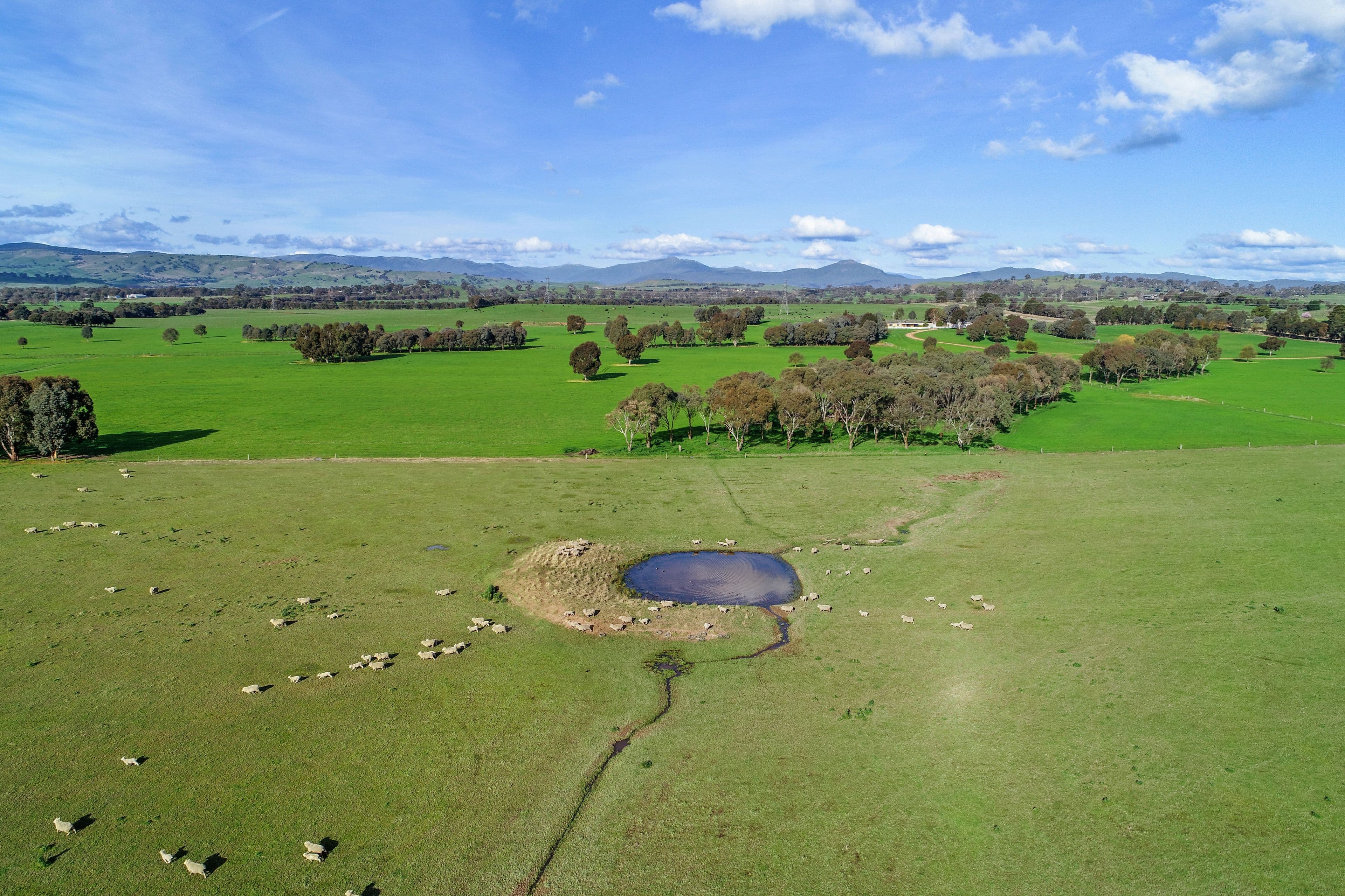 Lot 2 Mt Buller & Lot 3 Pollards, Mansfield VIC 3722, Mansfield - Thumbnail 5