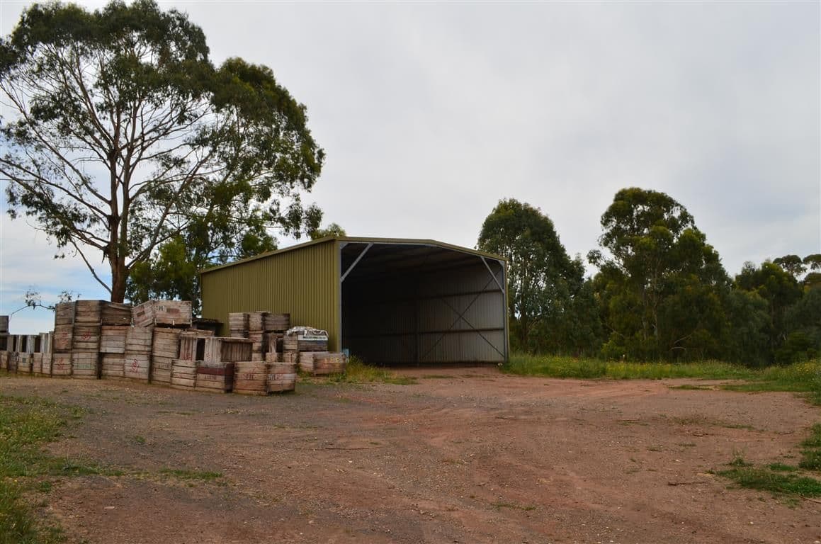 00 'Muttaroo' Mines Road, BATLOW NSW 2730, Batlow - Thumbnail 7