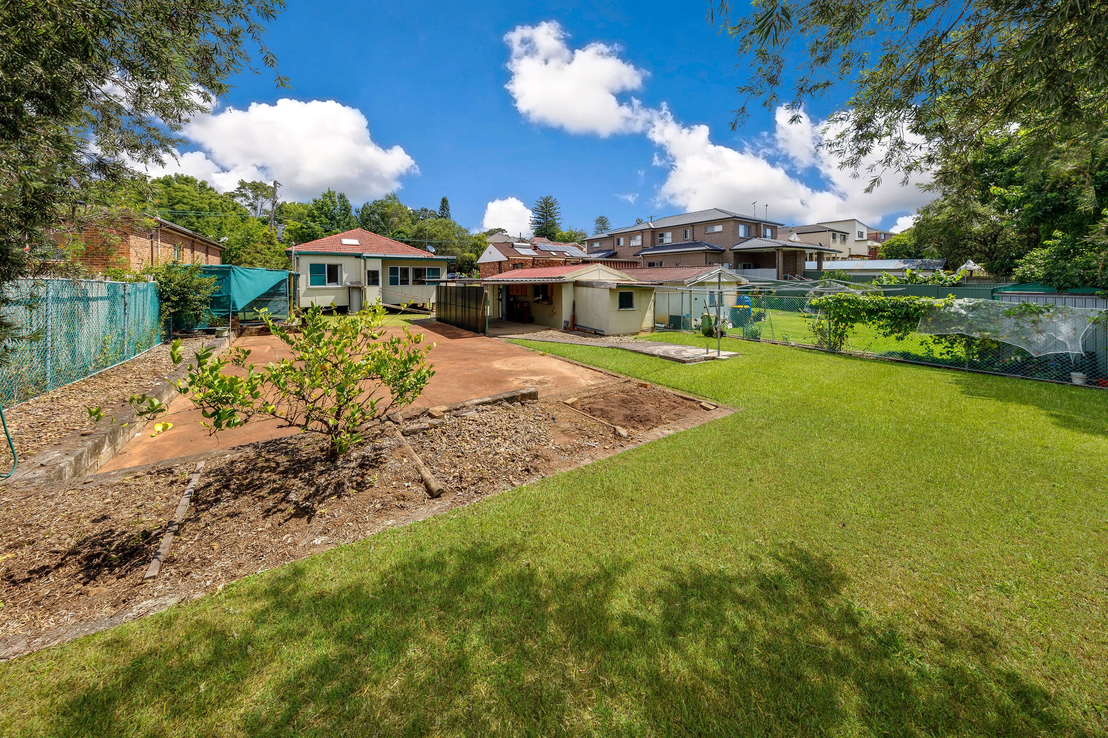 51 Patricia Street, Marsfield - Thumbnail 4