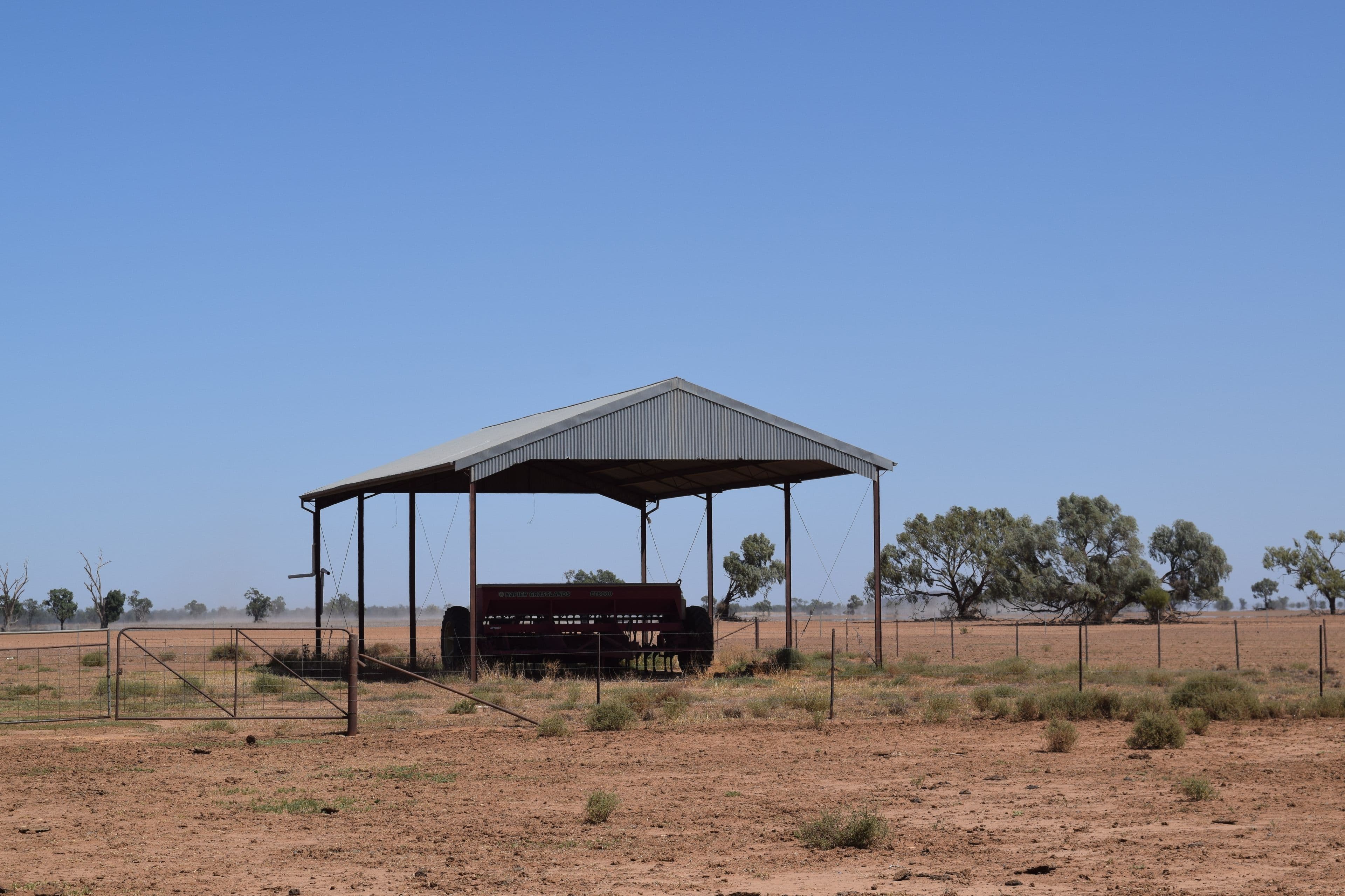 Part Gloming Bedgerebong Road, Forbes NSW 2871, Forbes - Thumbnail 5