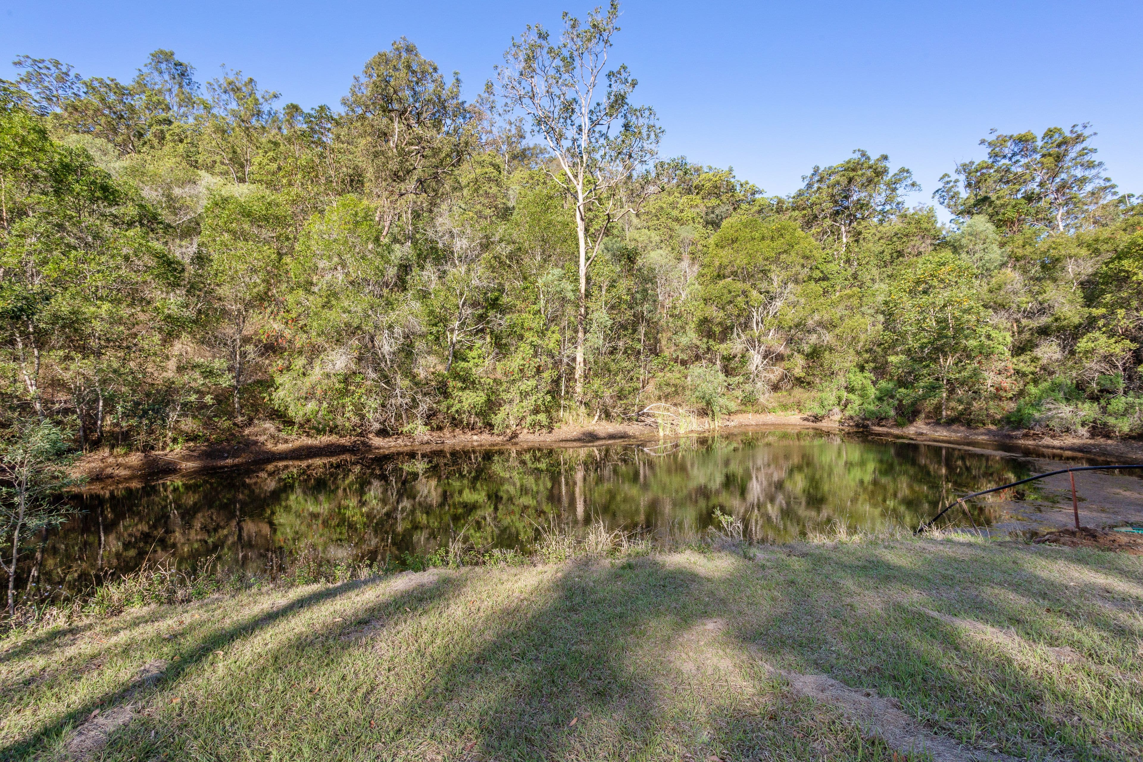 12 Andrew Clarke Road, Whiteside QLD 4503, Whiteside - Thumbnail 4