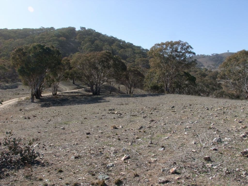 Bathurst NSW 2795, Bathurst - Thumbnail 7