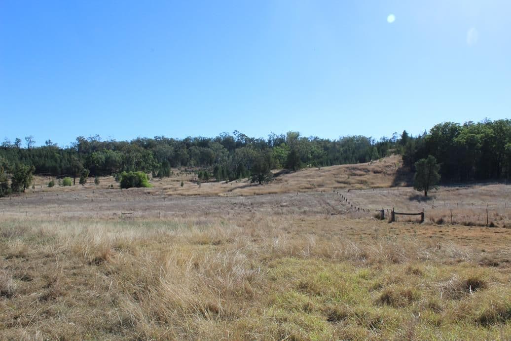 733 Upper Whitlow Road, Bingara NSW 2404, Bingara - Thumbnail 2