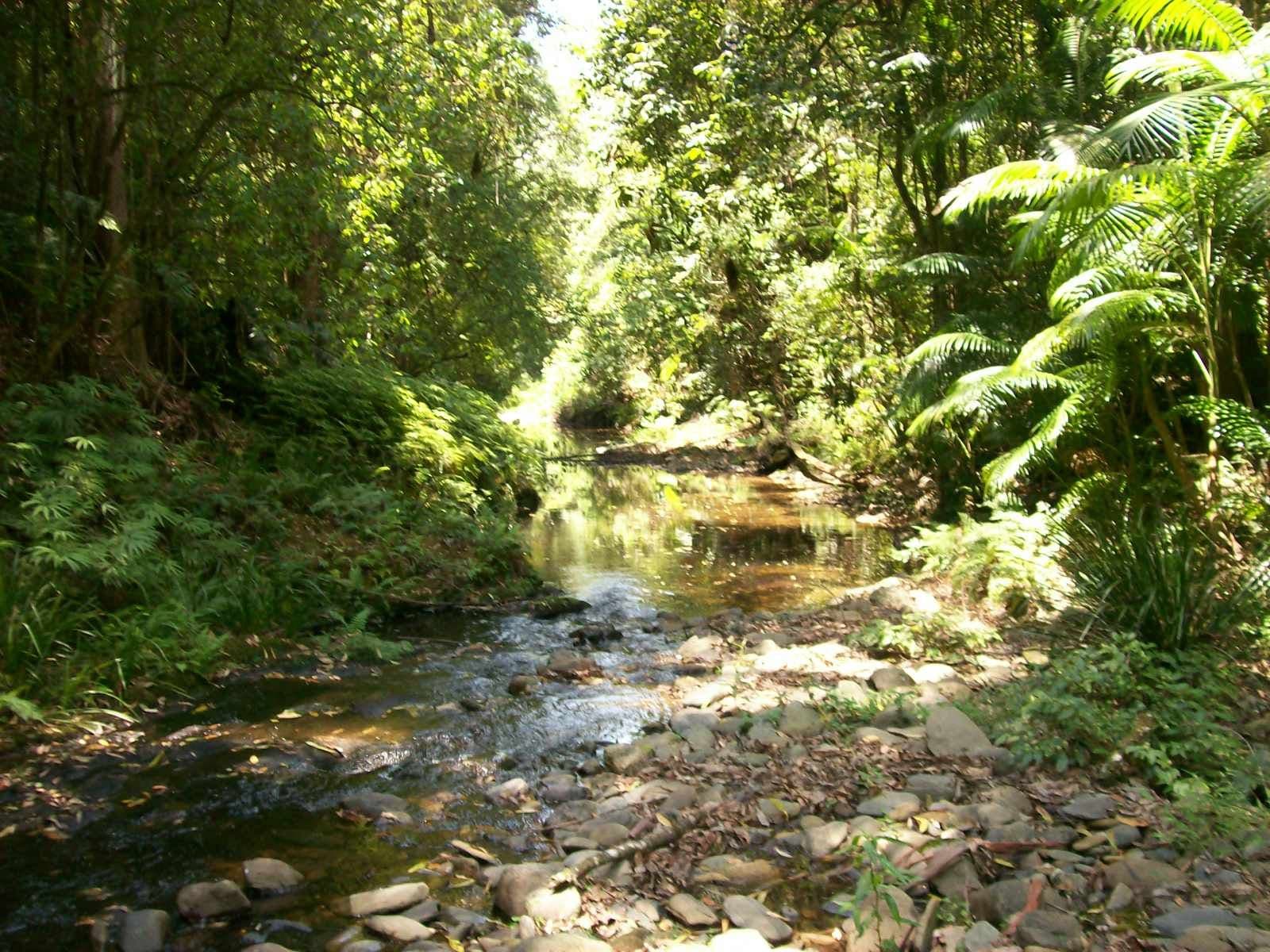 3566 Kalang Road Kalang, Bellingen NSW 2454, Bellingen - Thumbnail 7
