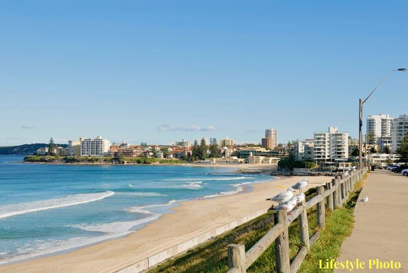 28 Hume Road, Cronulla NSW 2230, Cronulla - Thumbnail 4