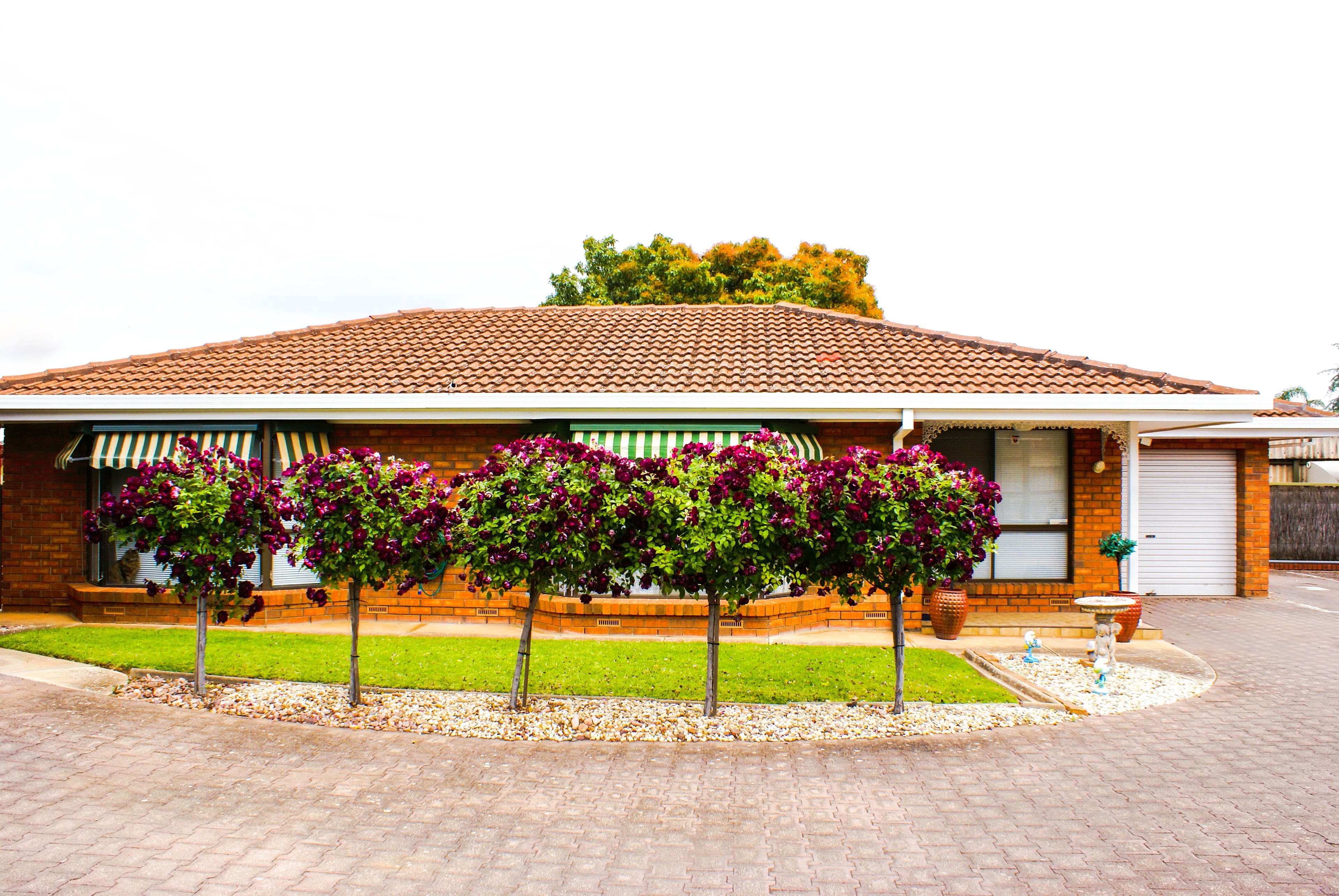 31 Warwick Street, Enfield SA 5085, Enfield - Image 1