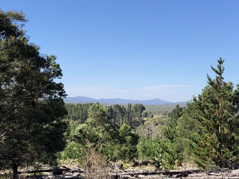 Lot 94 Back Creek Road, Braidwood NSW 2622, Braidwood - Image 1