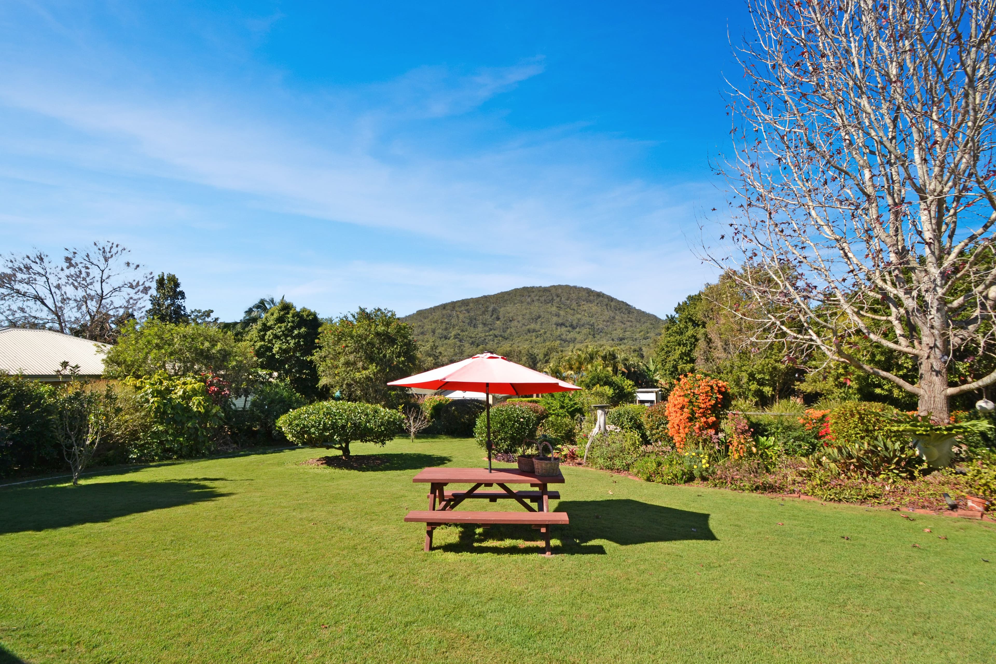 4 Toriana Place, Beerwah QLD 4519, Beerwah - Thumbnail 4