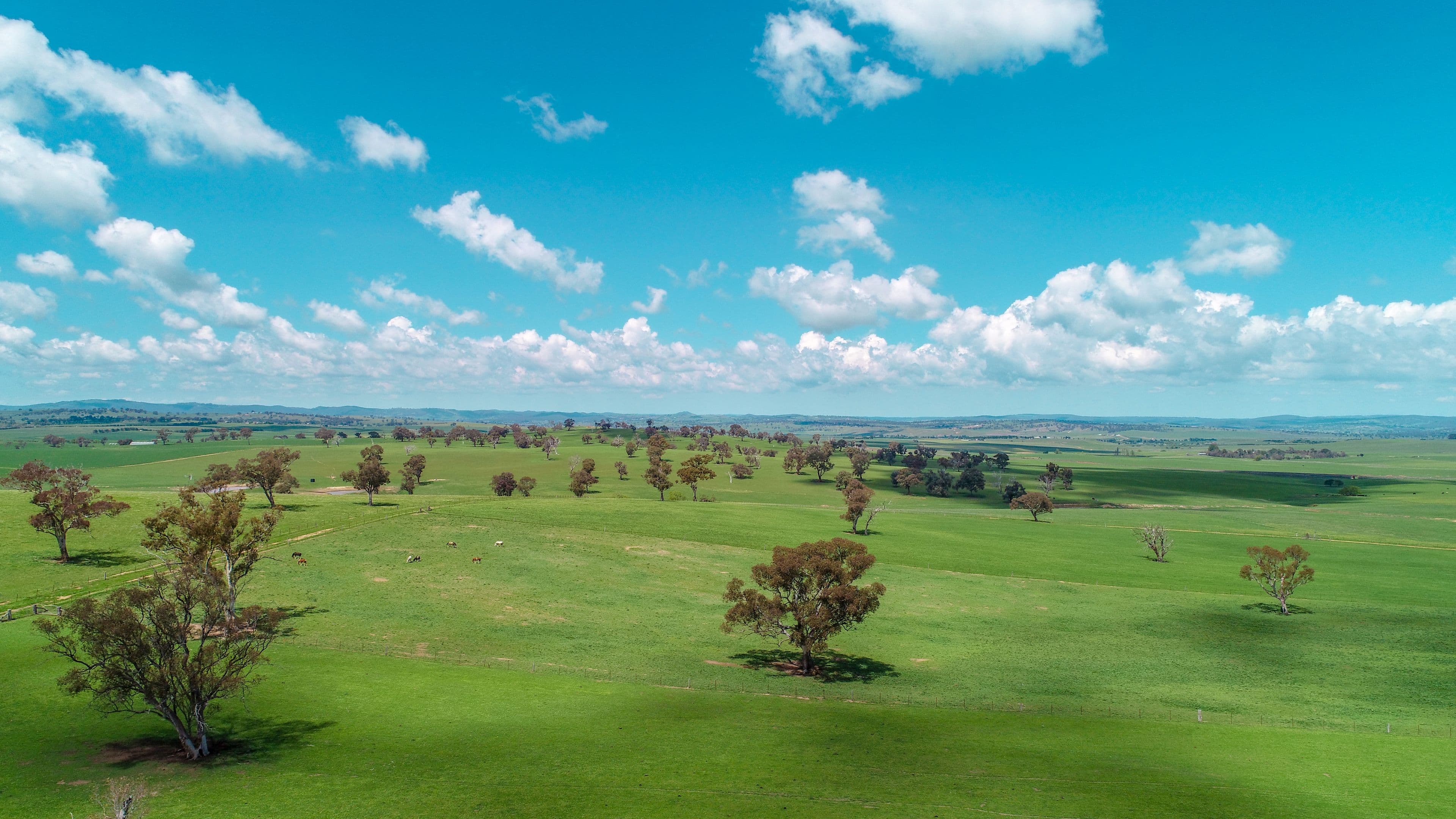 4985 Great Western Highway, Glanmire NSW 2795, Glanmire - Thumbnail 2