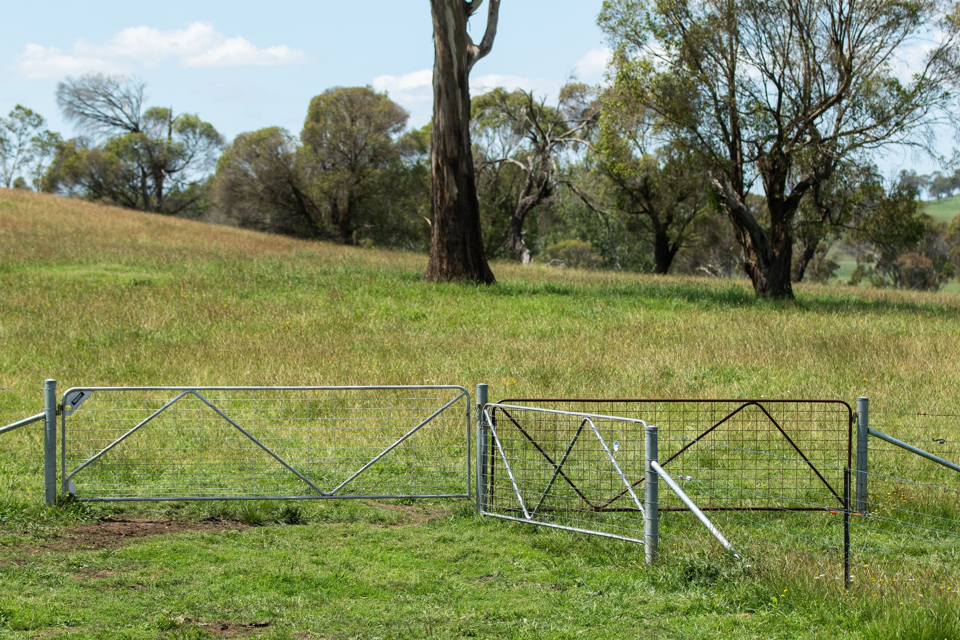 441 Streeters Road, Ben Lomond NSW 2365, Ben Lomond - Thumbnail 8