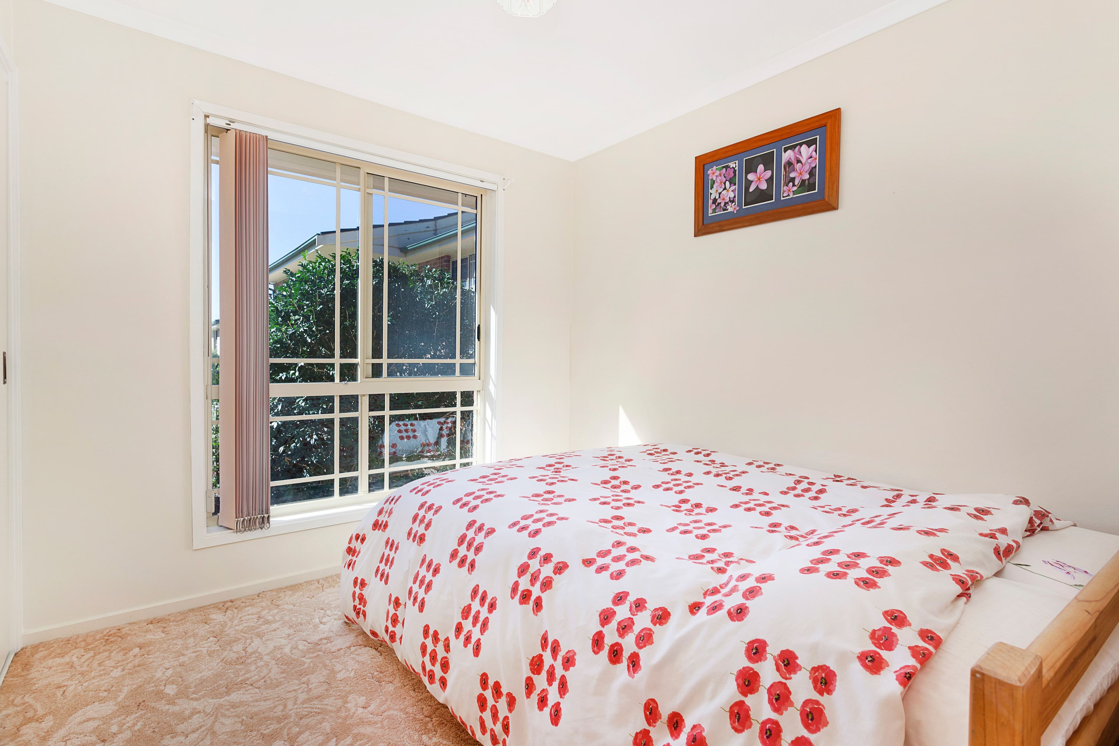 29 Derwent Place, Albion Park NSW 2527, Albion Park - Thumbnail 6