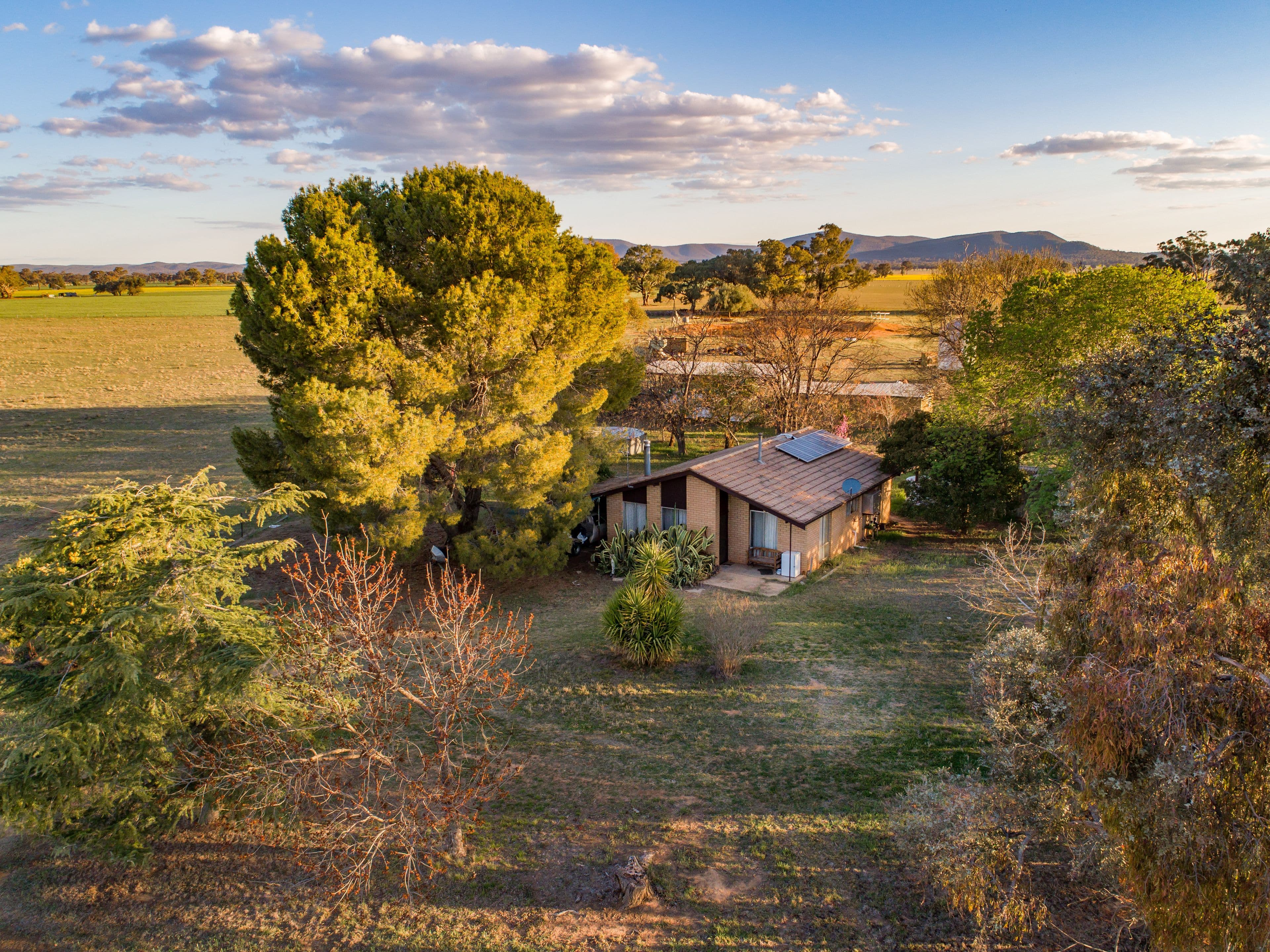 4259 Lachlan Valley Way, Gooloogong NSW 2805, Gooloogong - Thumbnail 3