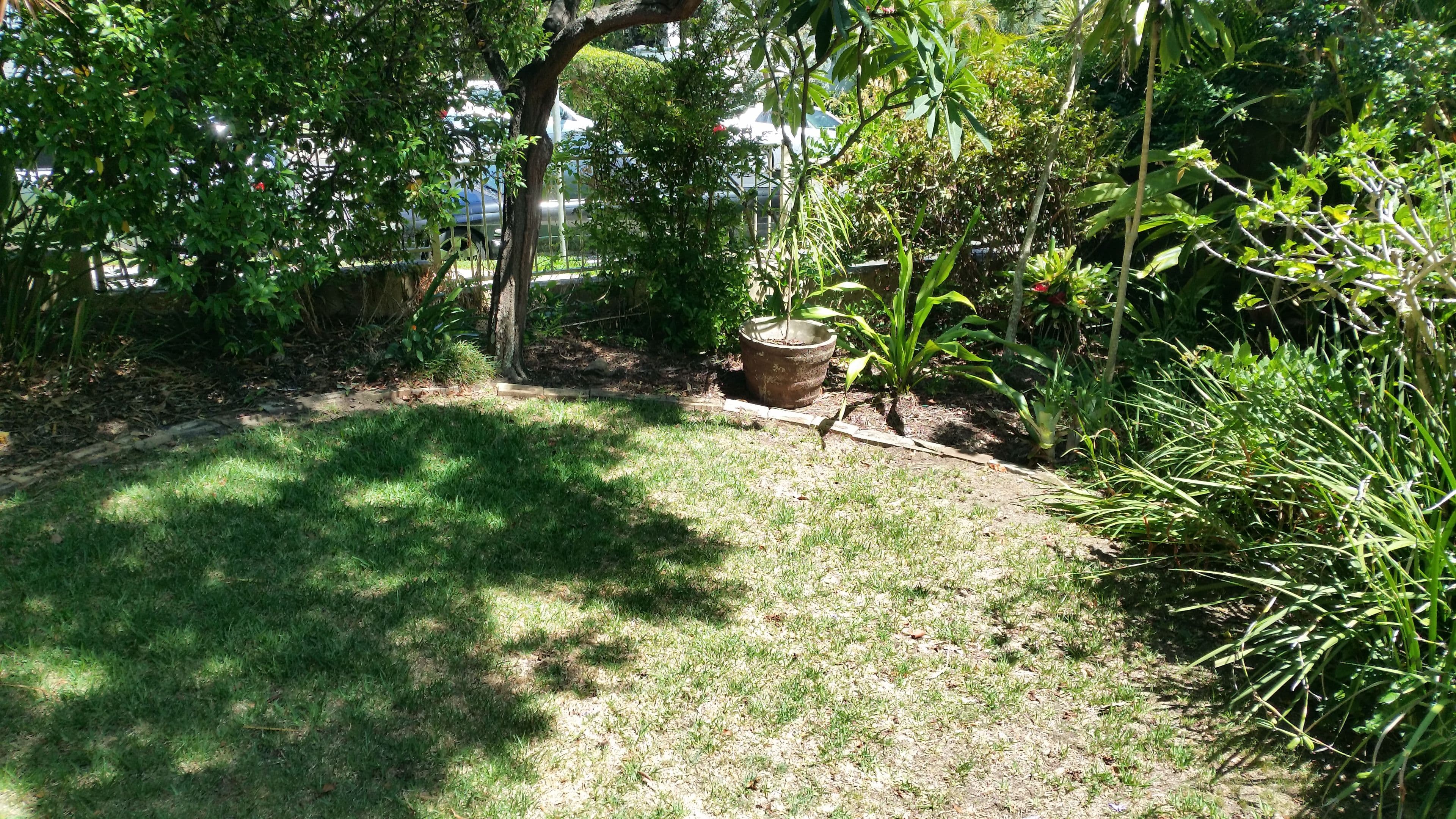 39 Park Street, Narrabeen NSW 2101, Narrabeen - Thumbnail 5
