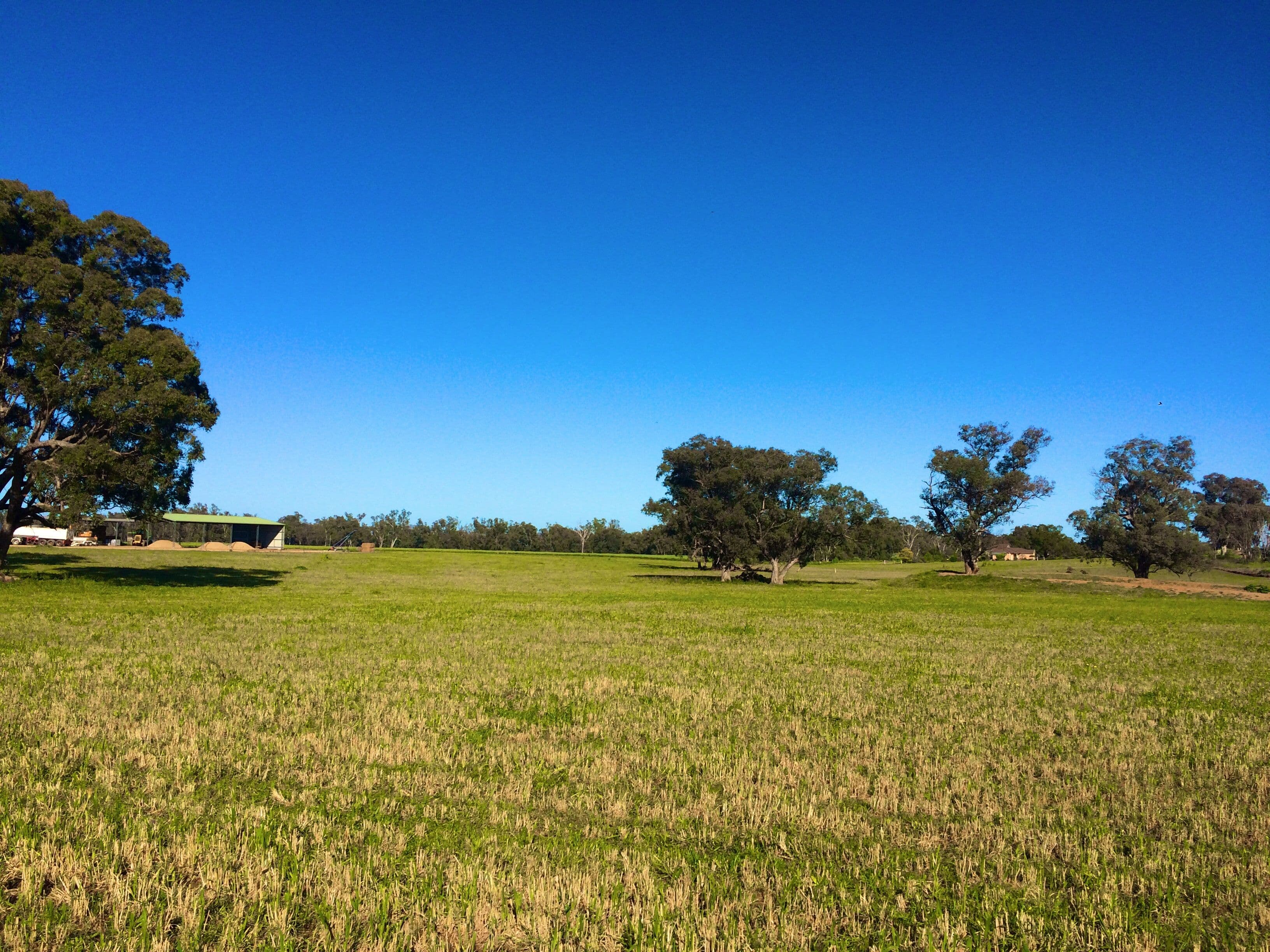 Prairie Vale 2144 Casuarina Drive, Gooloogong NSW 2805, Gooloogong - Thumbnail 4