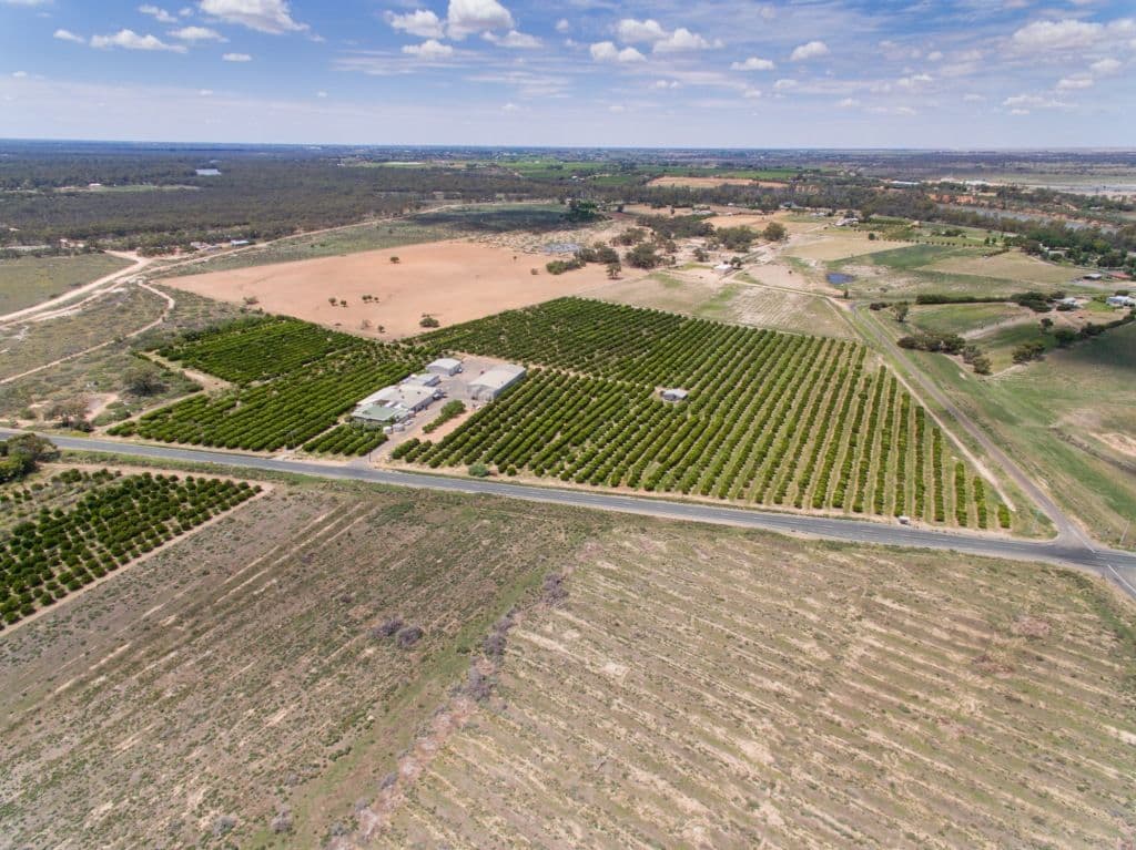 2265 Silver City Highway, Curlwaa NSW 2648, Curlwaa - Thumbnail 5