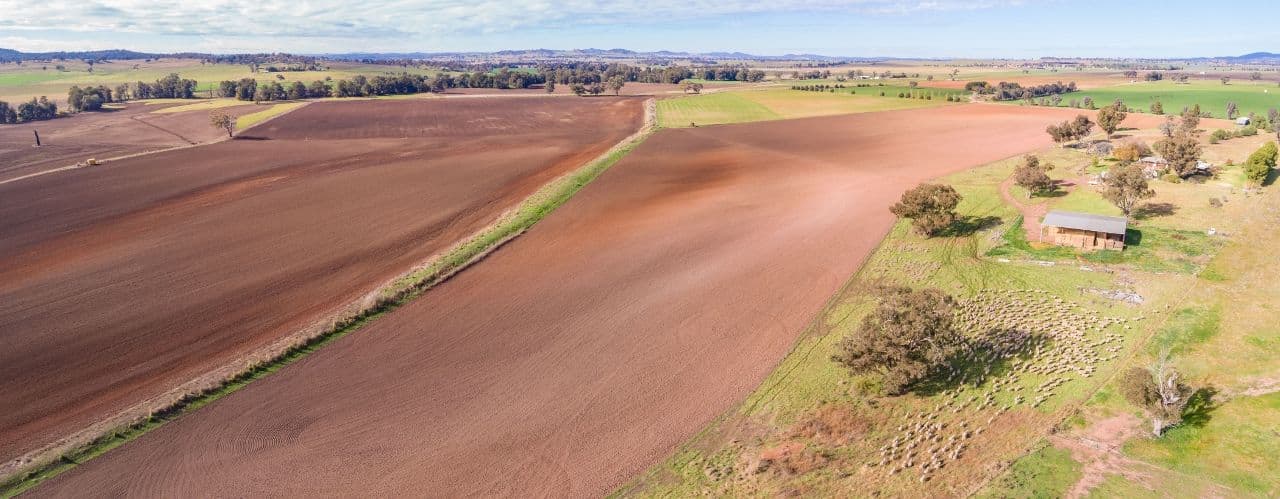 166 Settlement Bridge Road, Canowindra NSW 2804, Canowindra - Thumbnail 6