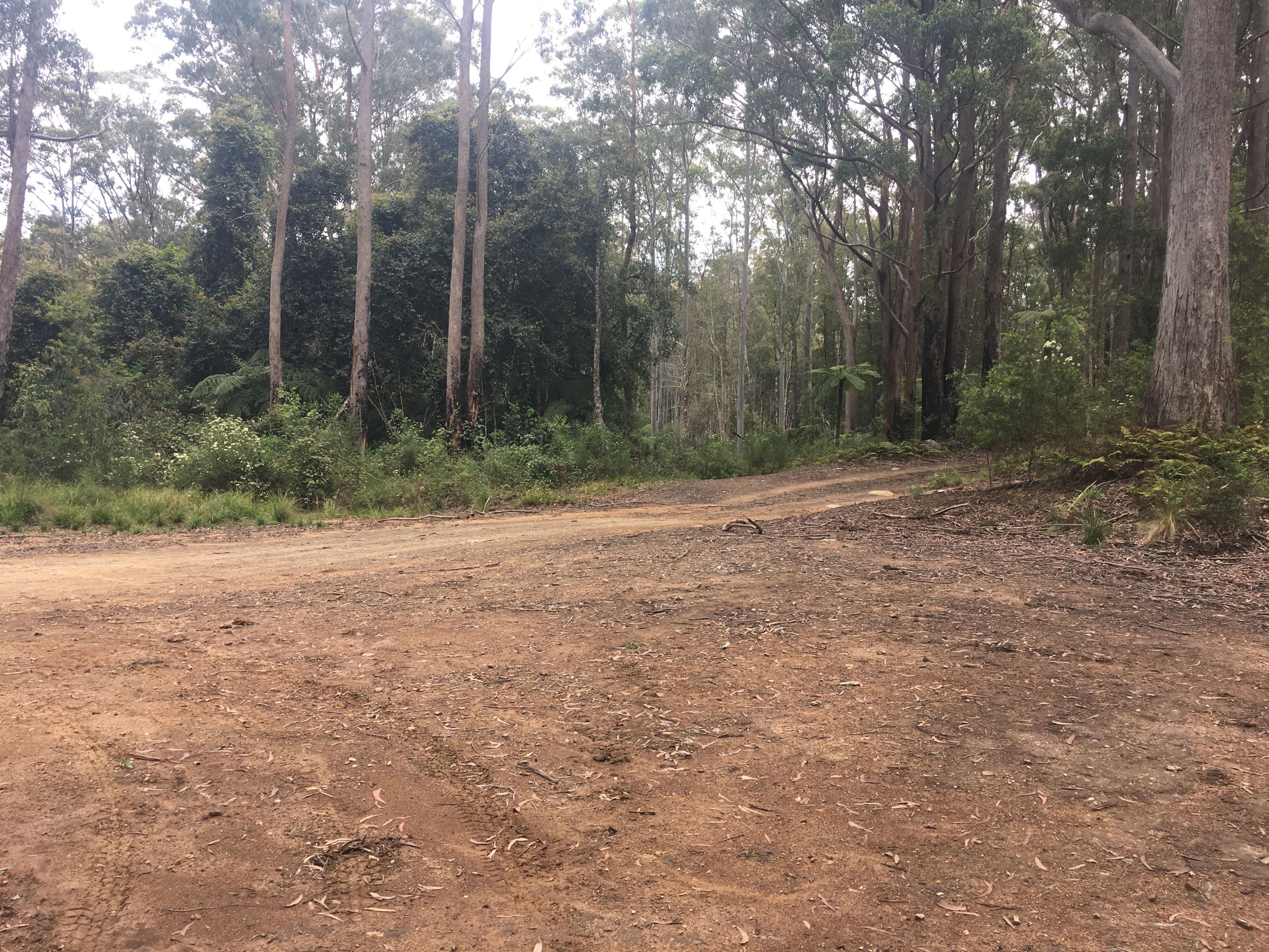 82a Mount Street Dundurrabin, Dorrigo NSW 2453, Dorrigo - Thumbnail 3
