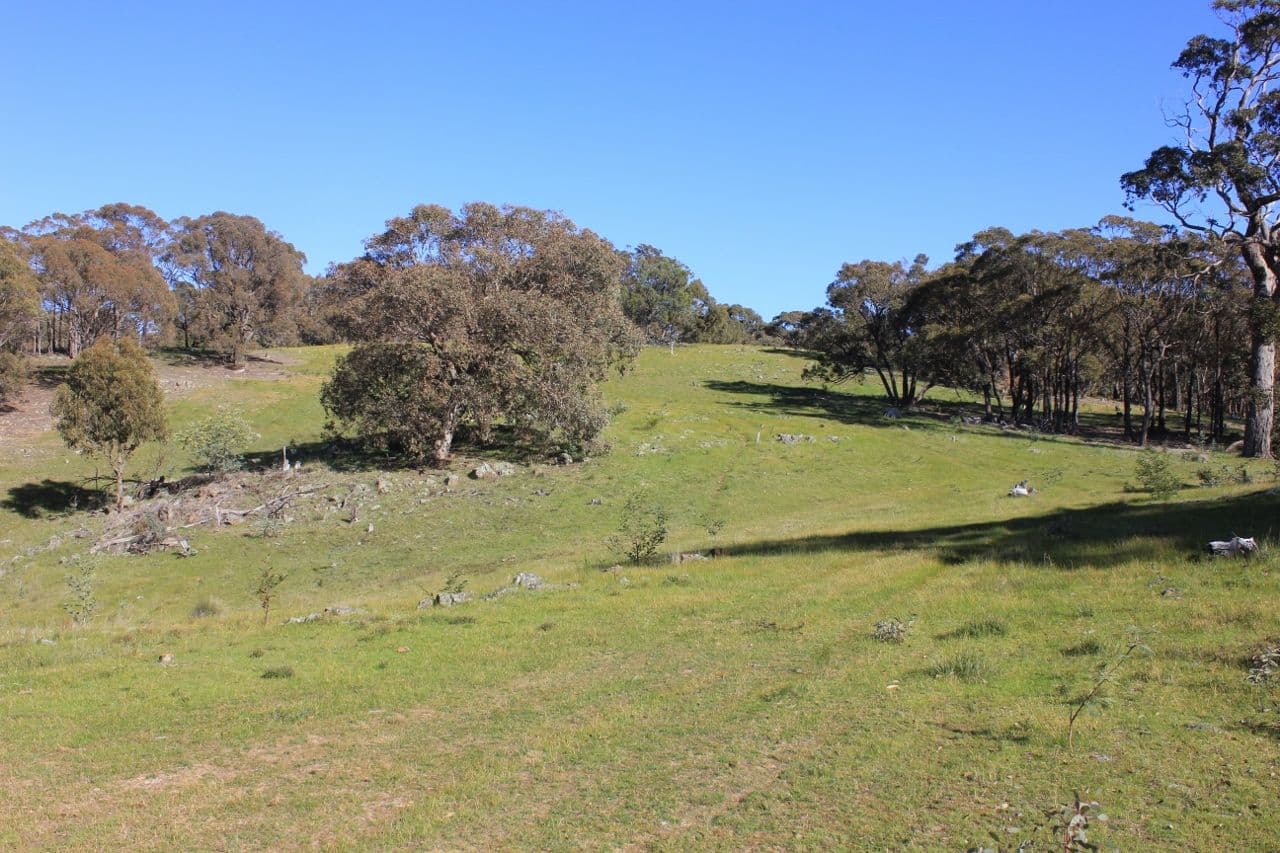 Tooborac VIC 3522, Tooborac - Image 1