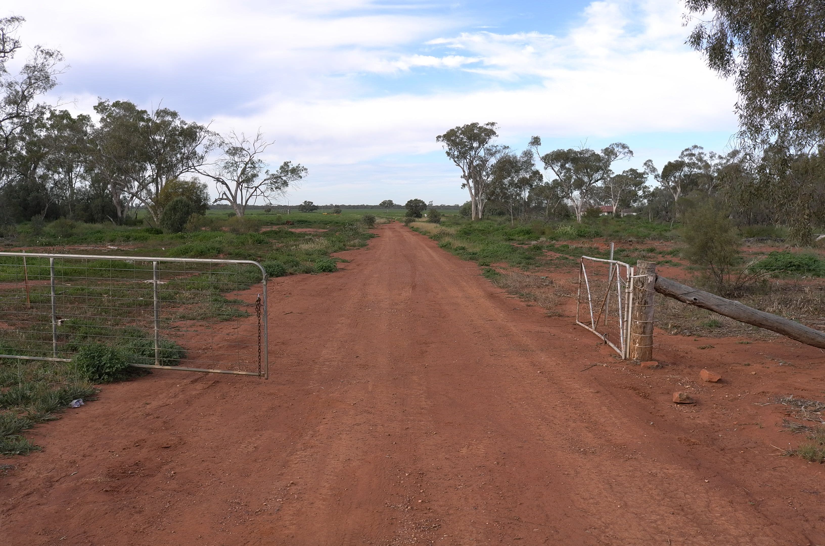 Farm 3953 Gilgai Road, Hermidale NSW 2831, Hermidale - Thumbnail 2