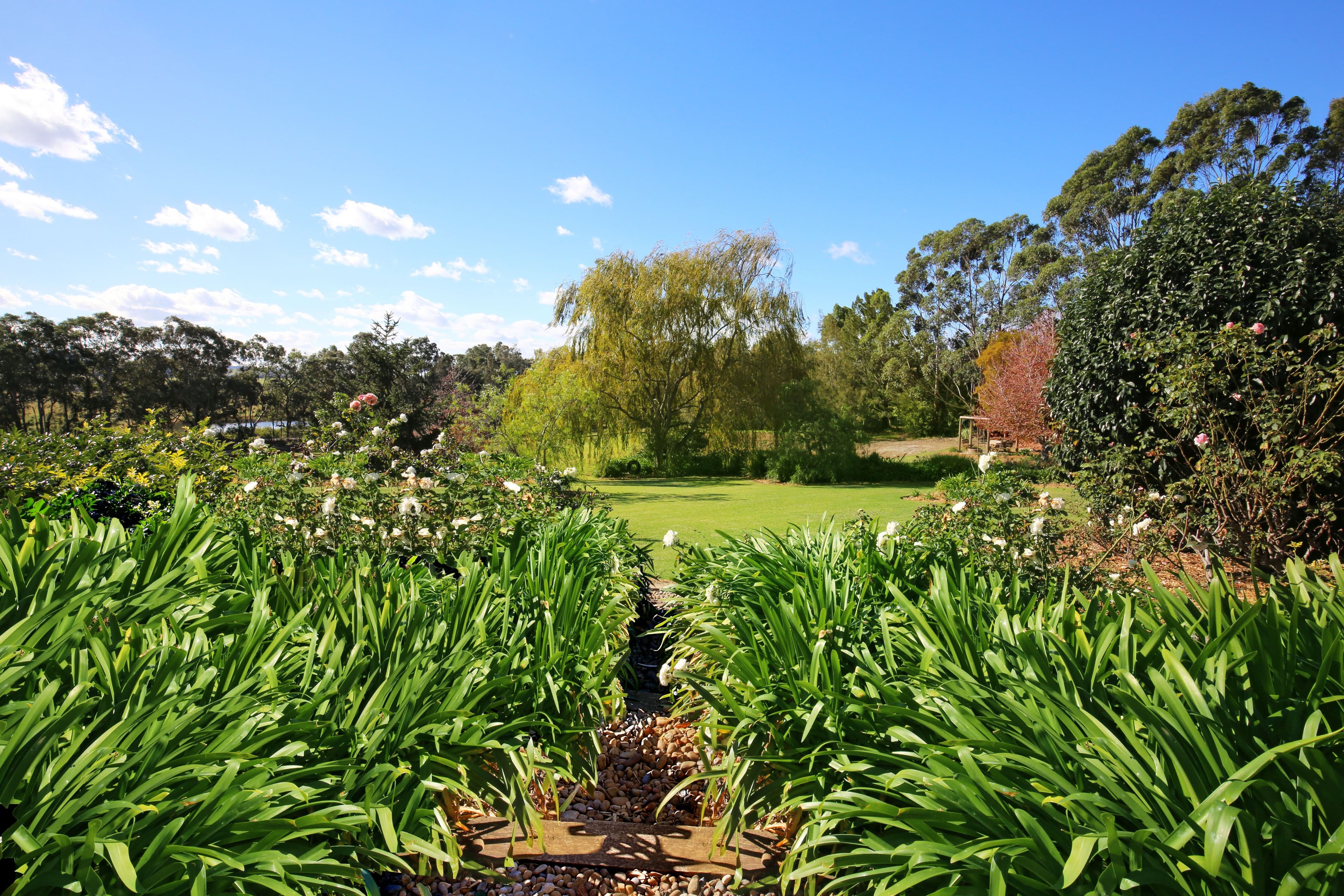 9 Coolaroo Place, Berry NSW 2535, Berry - Thumbnail 6