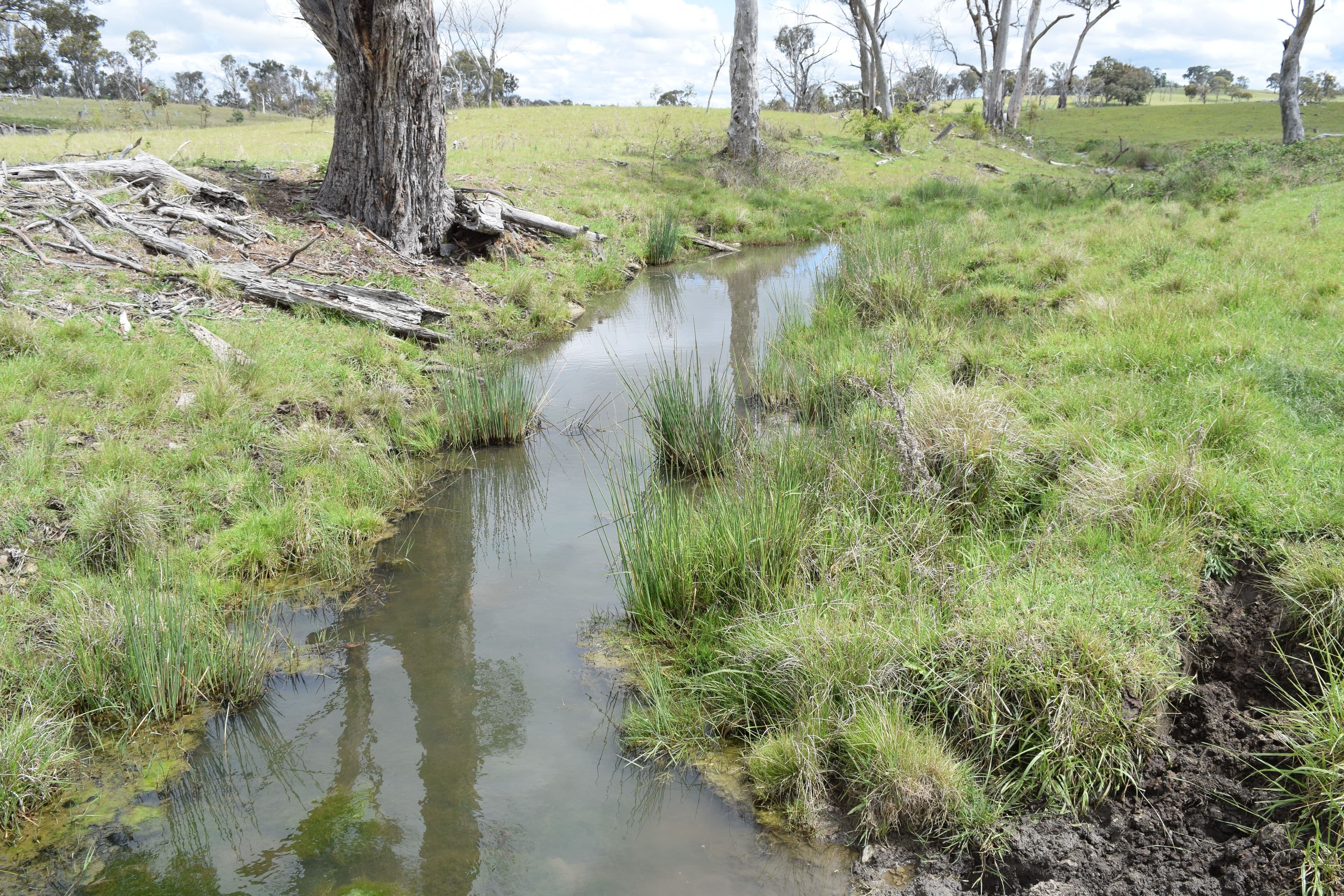 460 Donald Road, Armidale NSW 2350, Armidale - Thumbnail 6