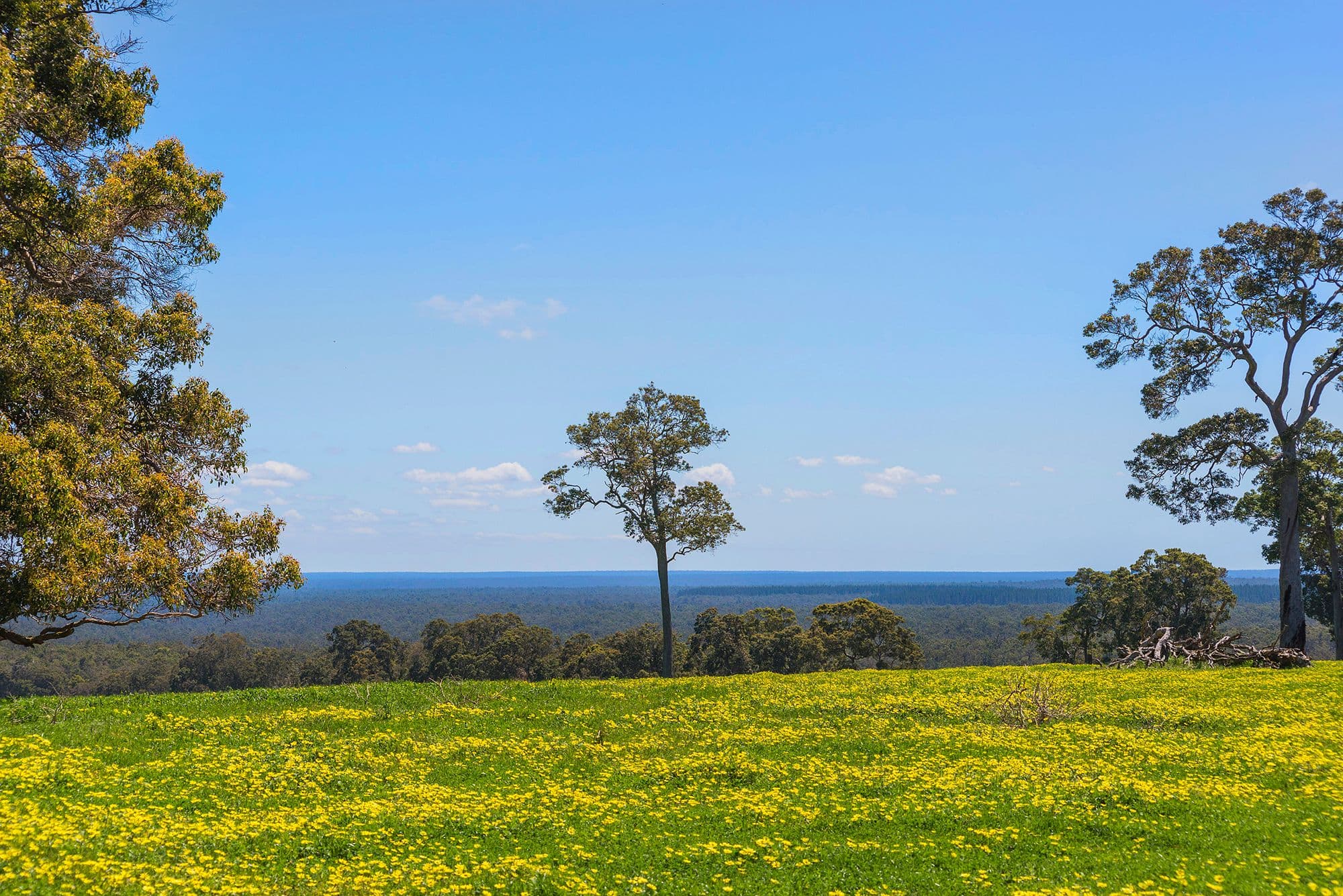 Nannup WA 6275, Nannup - Thumbnail 5