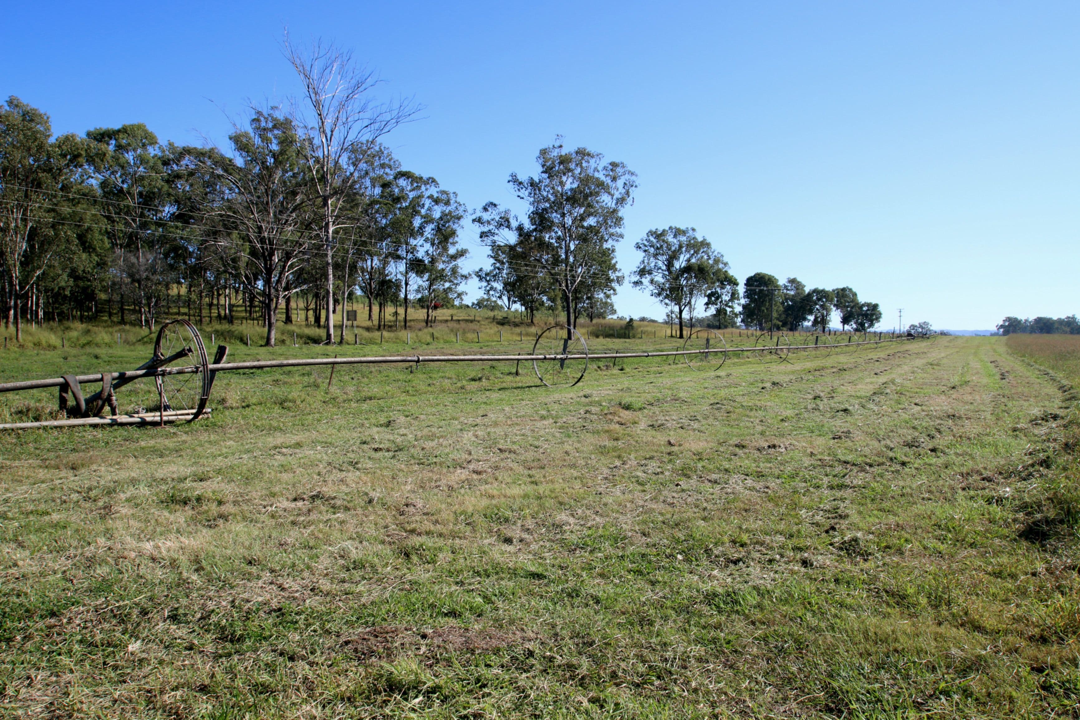 Monto QLD 4630, Monto - Thumbnail 3