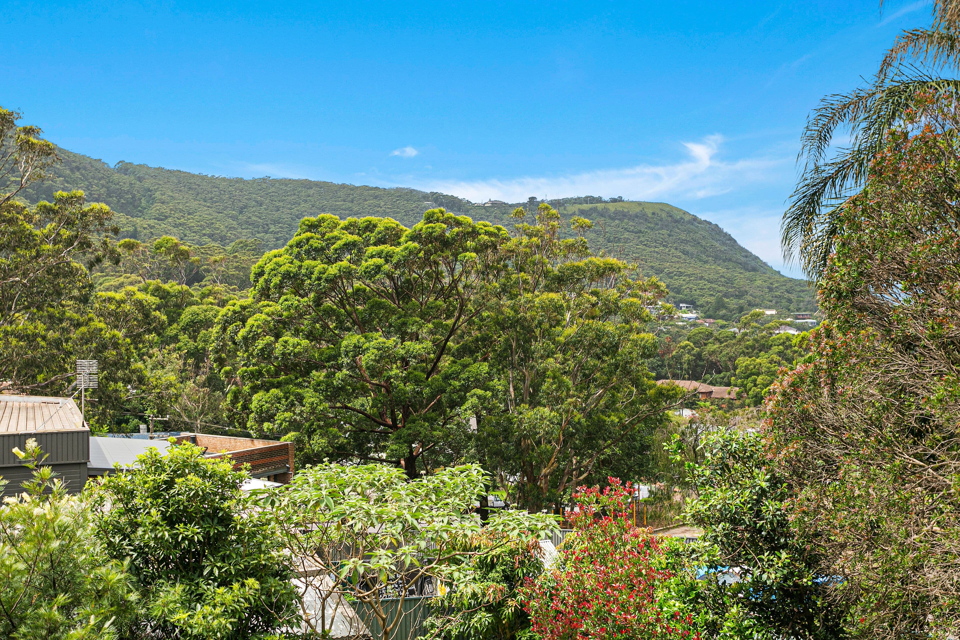101-103 Lawrence Hargrave Drive, Stanwell Park NSW 2508, Stanwell Park - Thumbnail 6
