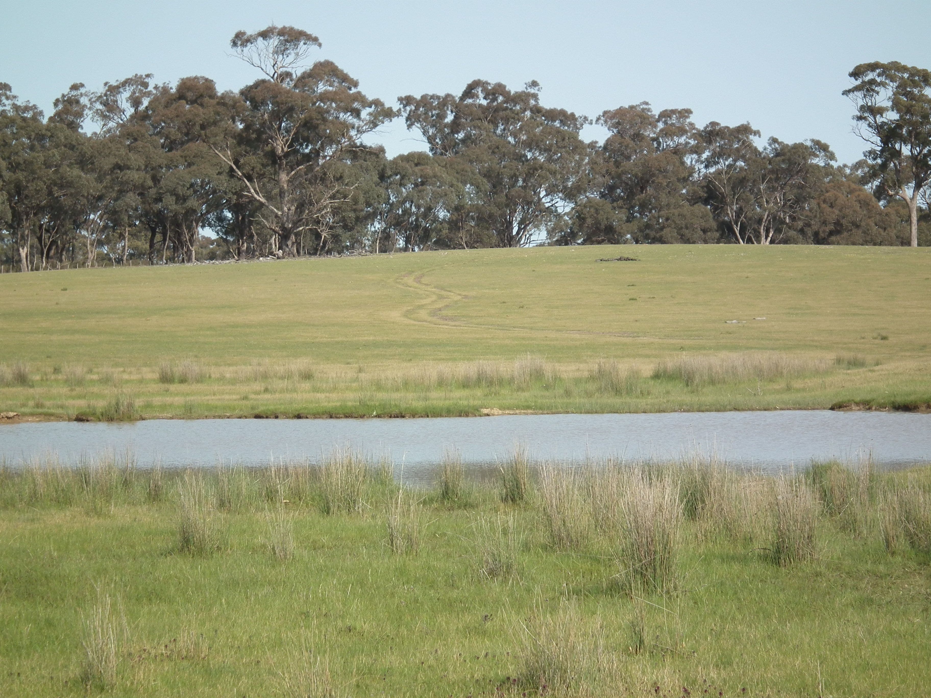 "Buffalo" Buffalo Swamp Road, Kirwans Bridge VIC 3608, Kirwans Bridge - Thumbnail 4