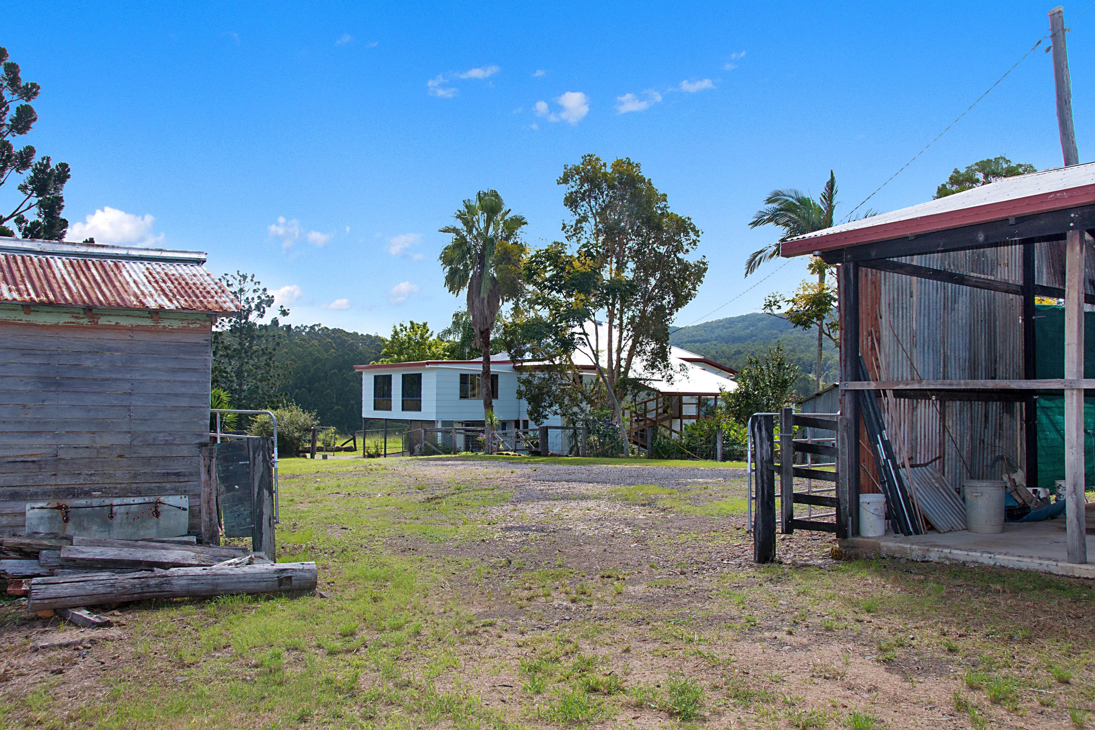 1563 Tyalgum Road, Tyalgum NSW 2484, Tyalgum - Thumbnail 8