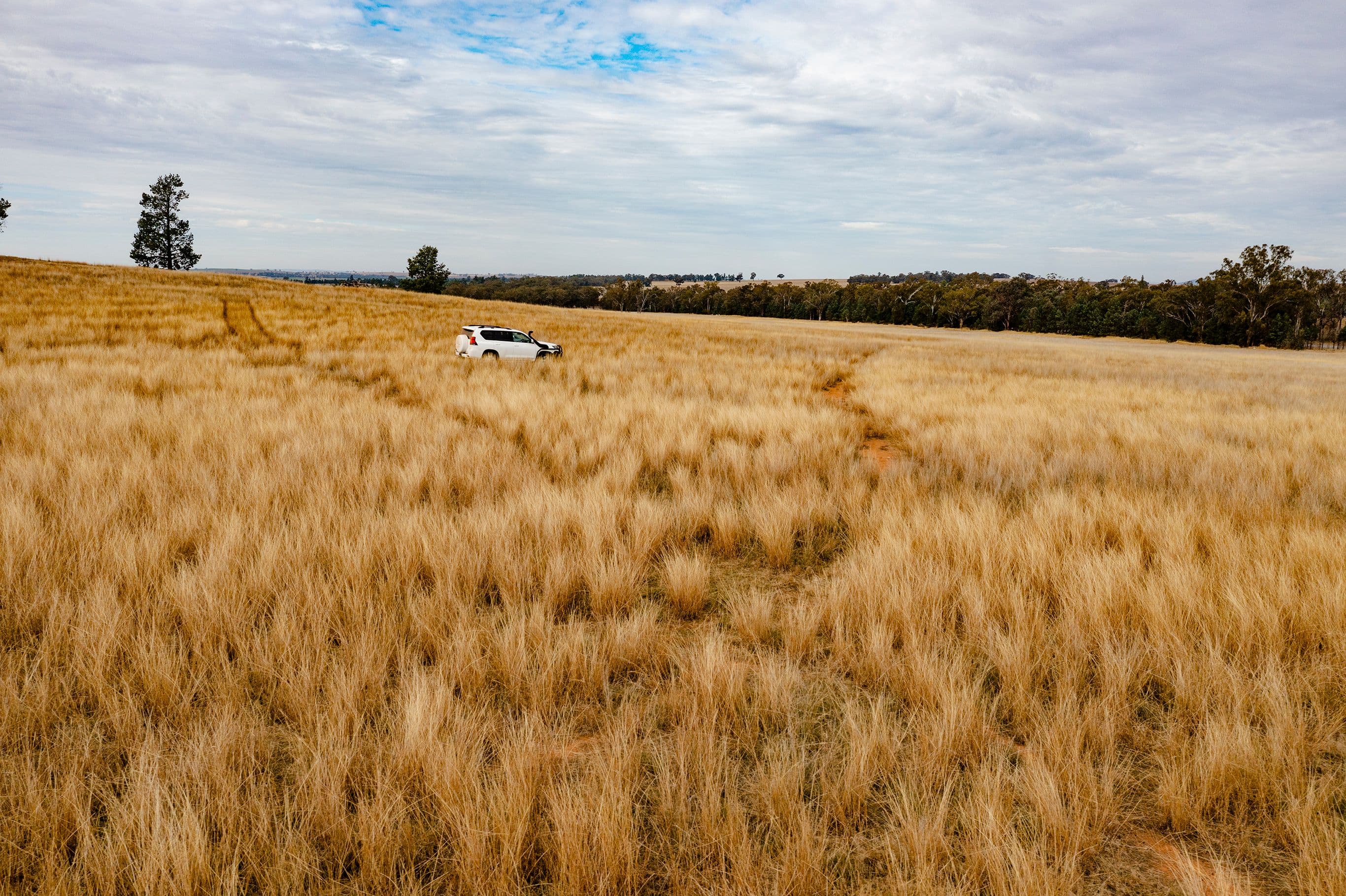 O'briens Coolamon Road, Coolamon NSW 2701, Coolamon - Thumbnail 6
