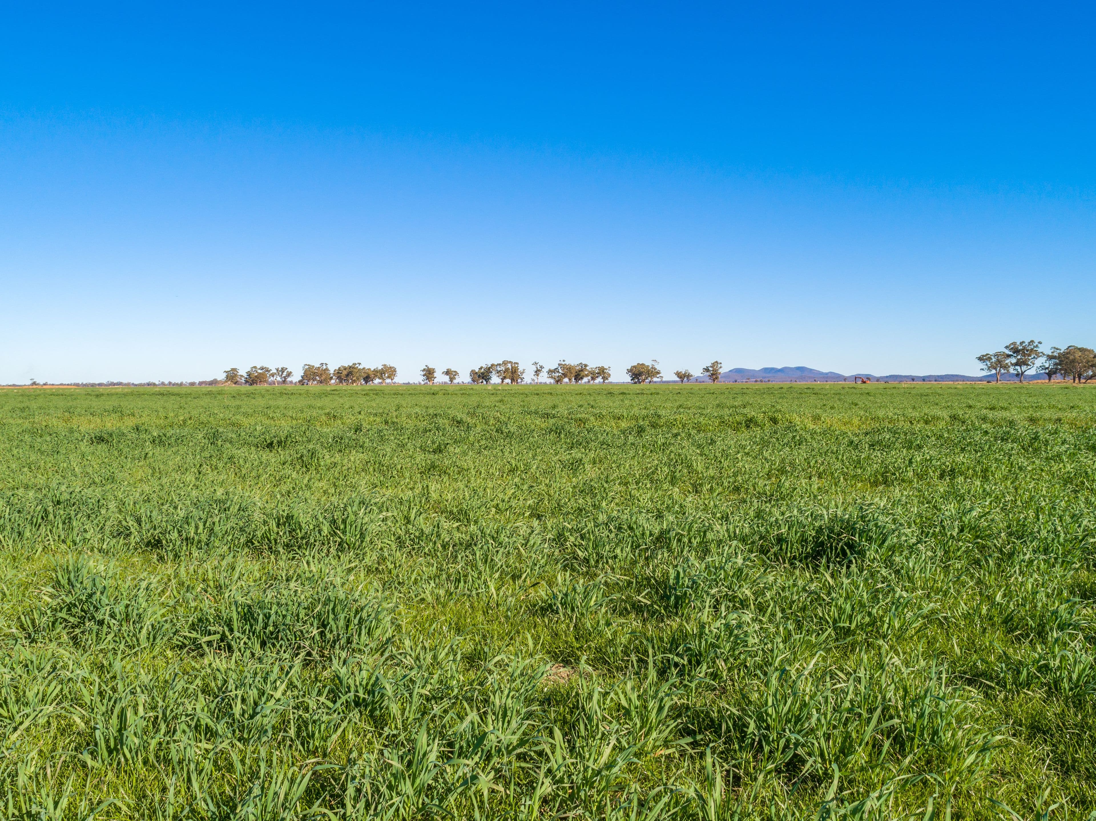 5678 Lachlan Valley Way, Fairholme NSW 2871, Fairholme - Thumbnail 5
