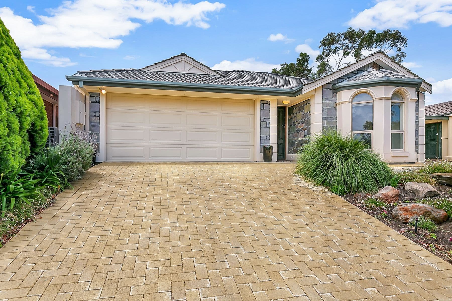 10 Timothy Court, Mitchell Park SA 5043, Mitchell Park - Thumbnail 4