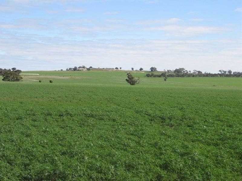Goldsmiths Wickepin-Pingelly Road, Pingelly WA 6308, Pingelly - Thumbnail 2
