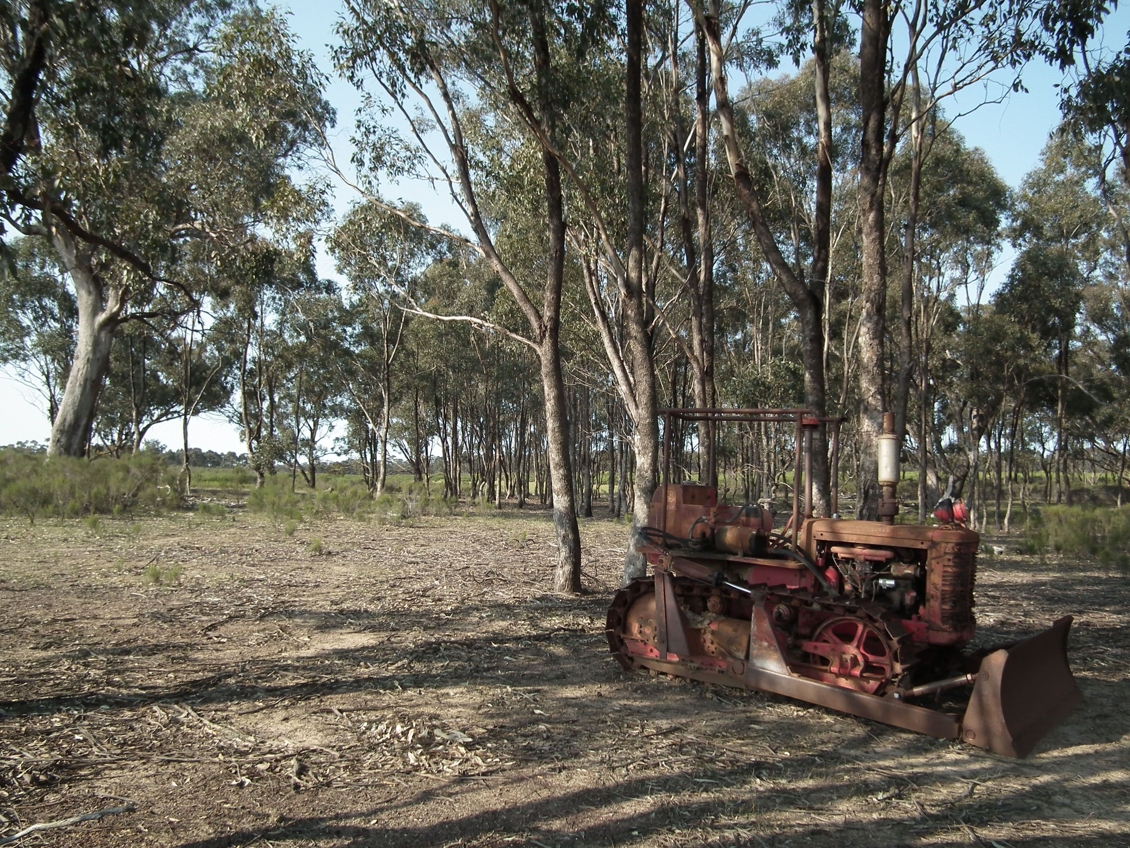 "Buffalo" Buffalo Swamp Road, Kirwans Bridge VIC 3608, Kirwans Bridge - Thumbnail 2