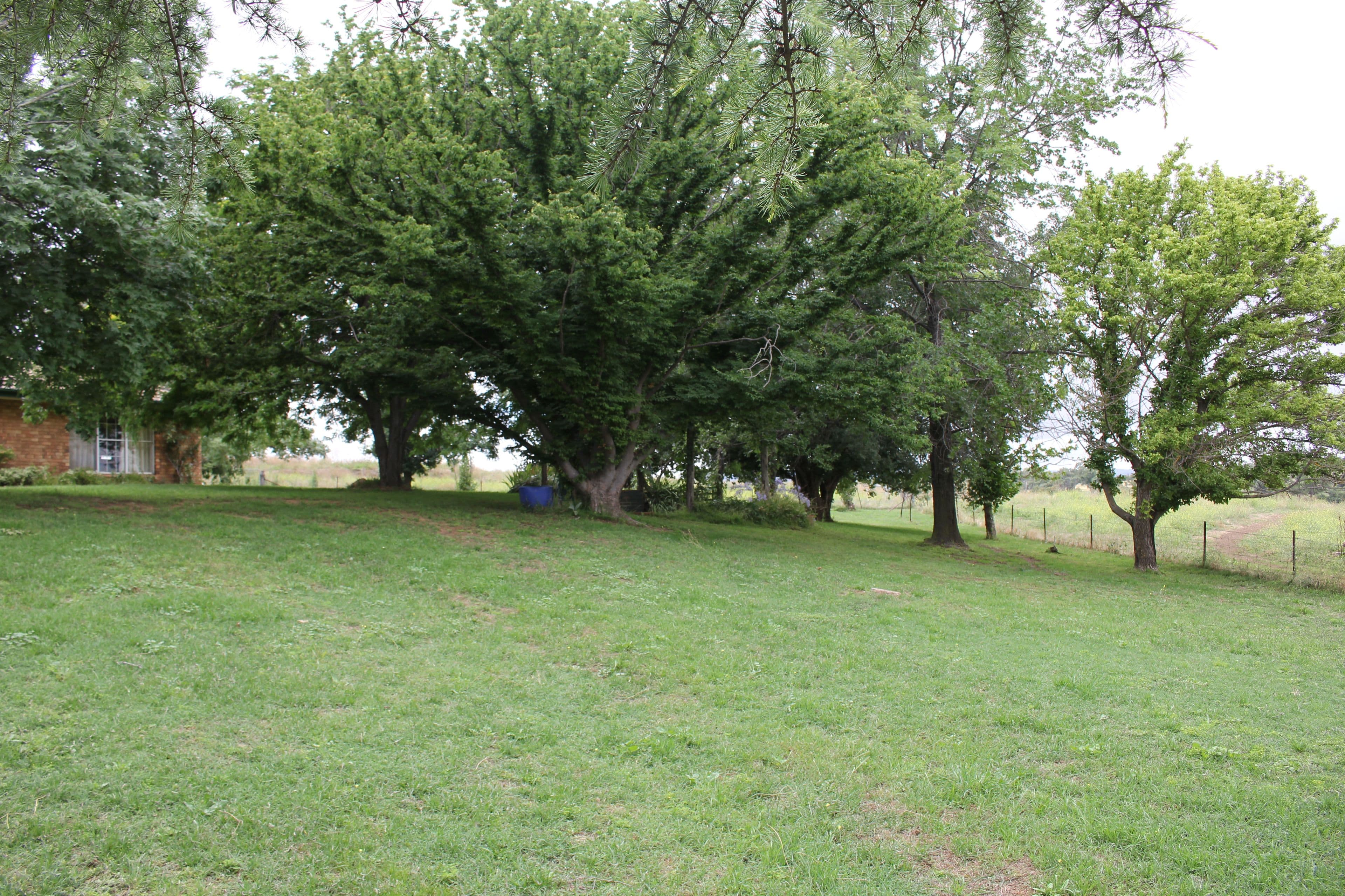 722 Sofala Road, Laffing Waters NSW 2795, Laffing Waters - Thumbnail 6