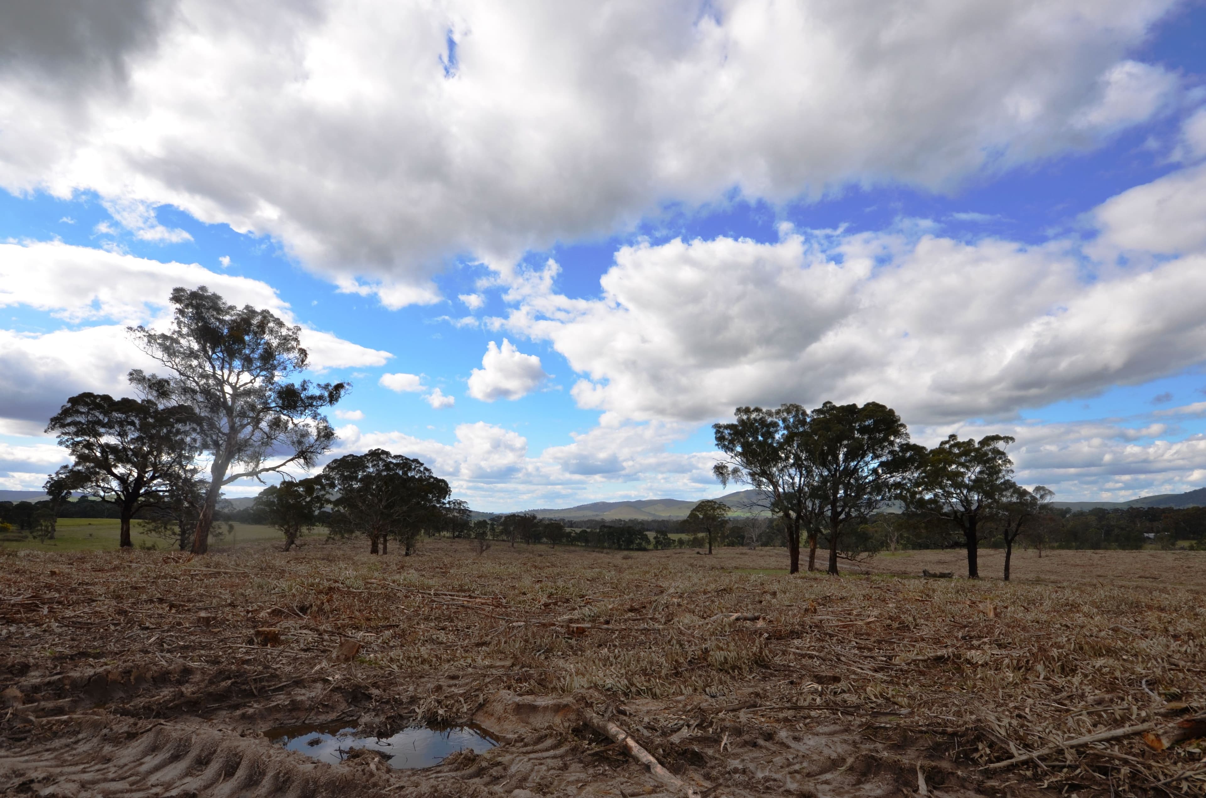 Lot 1 "Cocking C" Mount Lonarch Road, Mount Lonarch VIC 3468, Mount Lonarch - Thumbnail 6