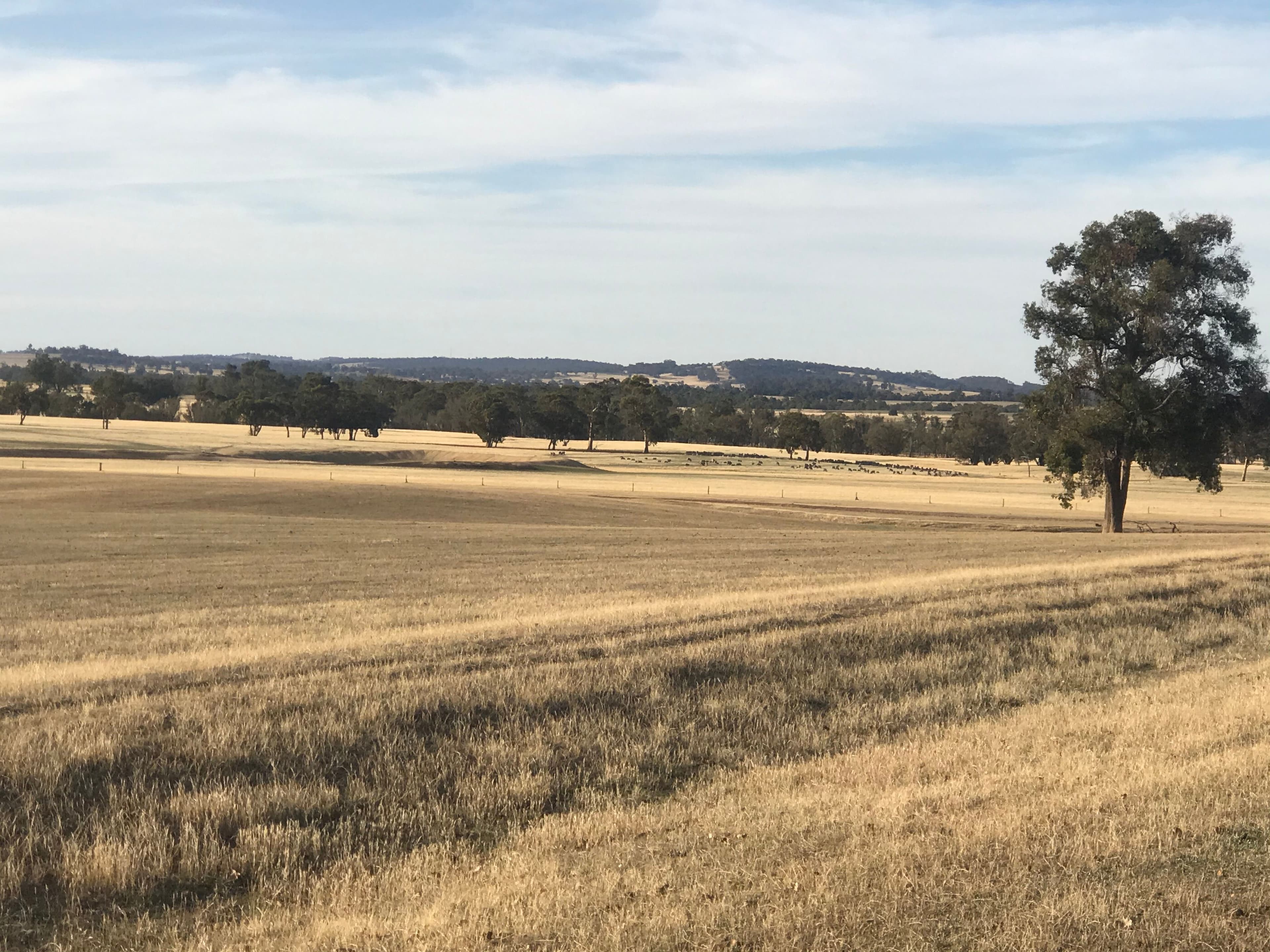 Cloverbrook 546 Dwarda East Road, Wandering WA 6308, Wandering - Thumbnail 6