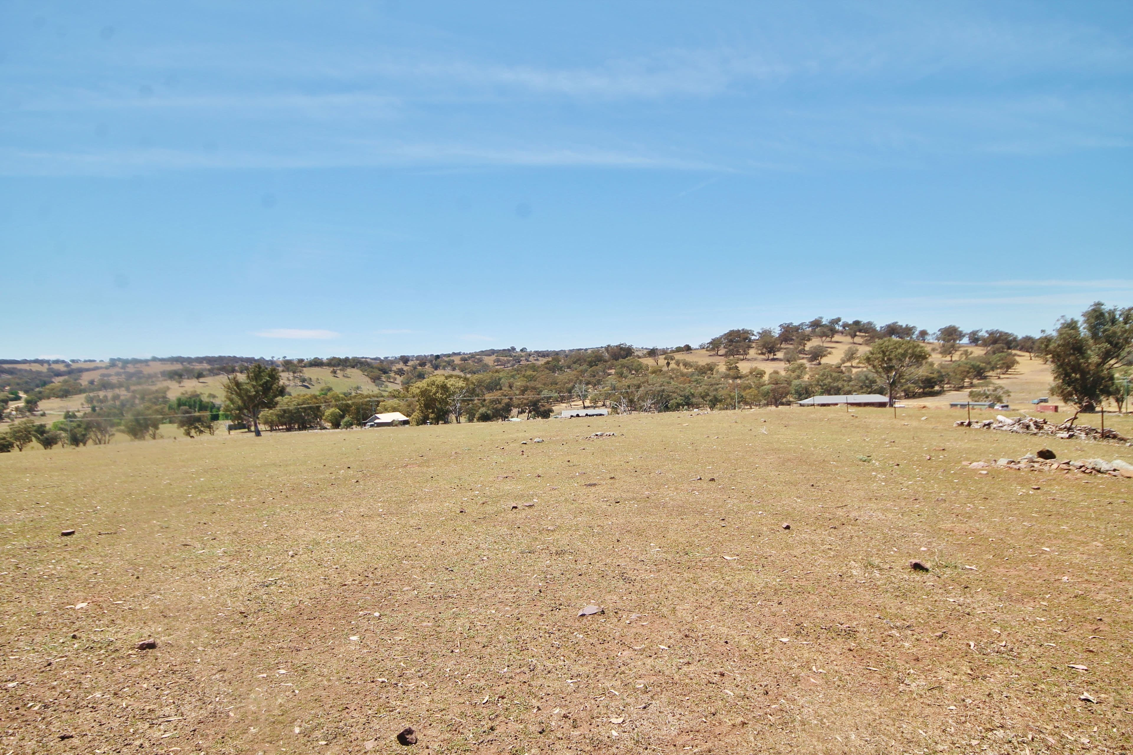 79 Dowling Drive Murringo via, Young NSW 2594, Young - Image 1