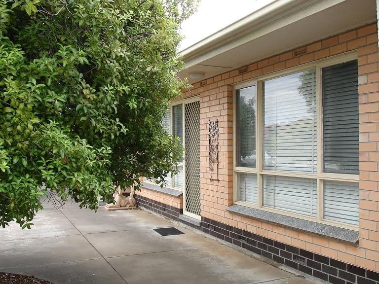 2/364 Tapleys Hill Road, Seaton SA 5023, Seaton - Image 1