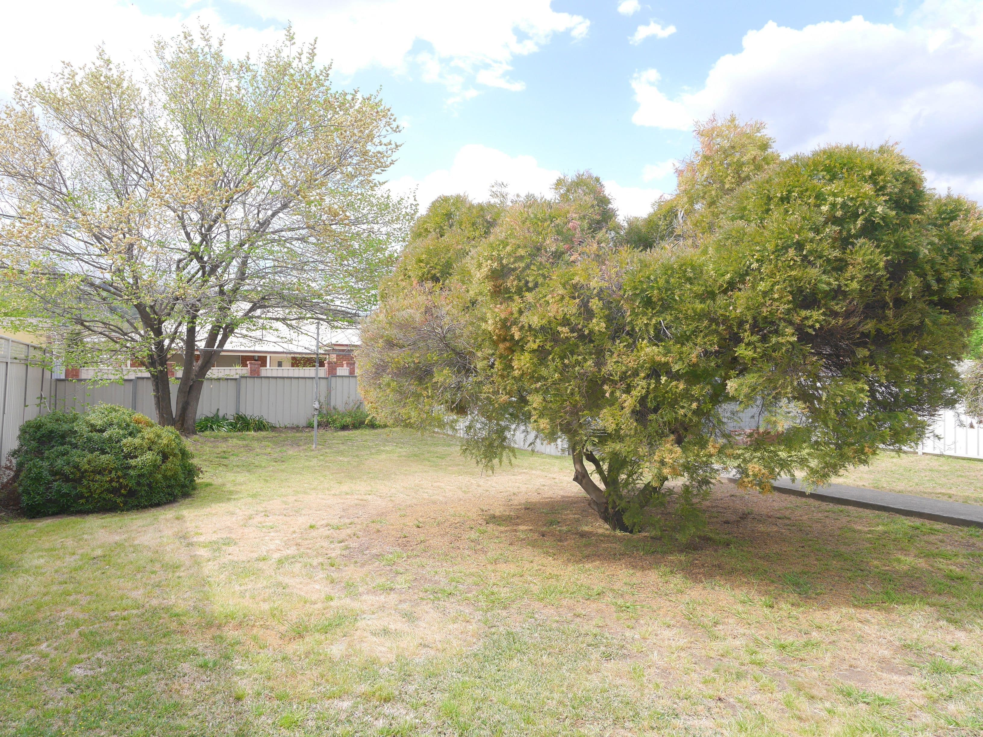 6 Denman Street, Cowra - Thumbnail 8