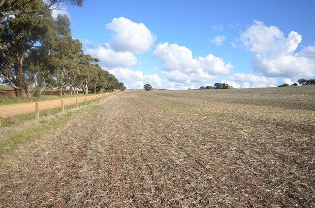 "Huxley's'" Curio Highway, Marrabel SA 5413, Marrabel - Image 1