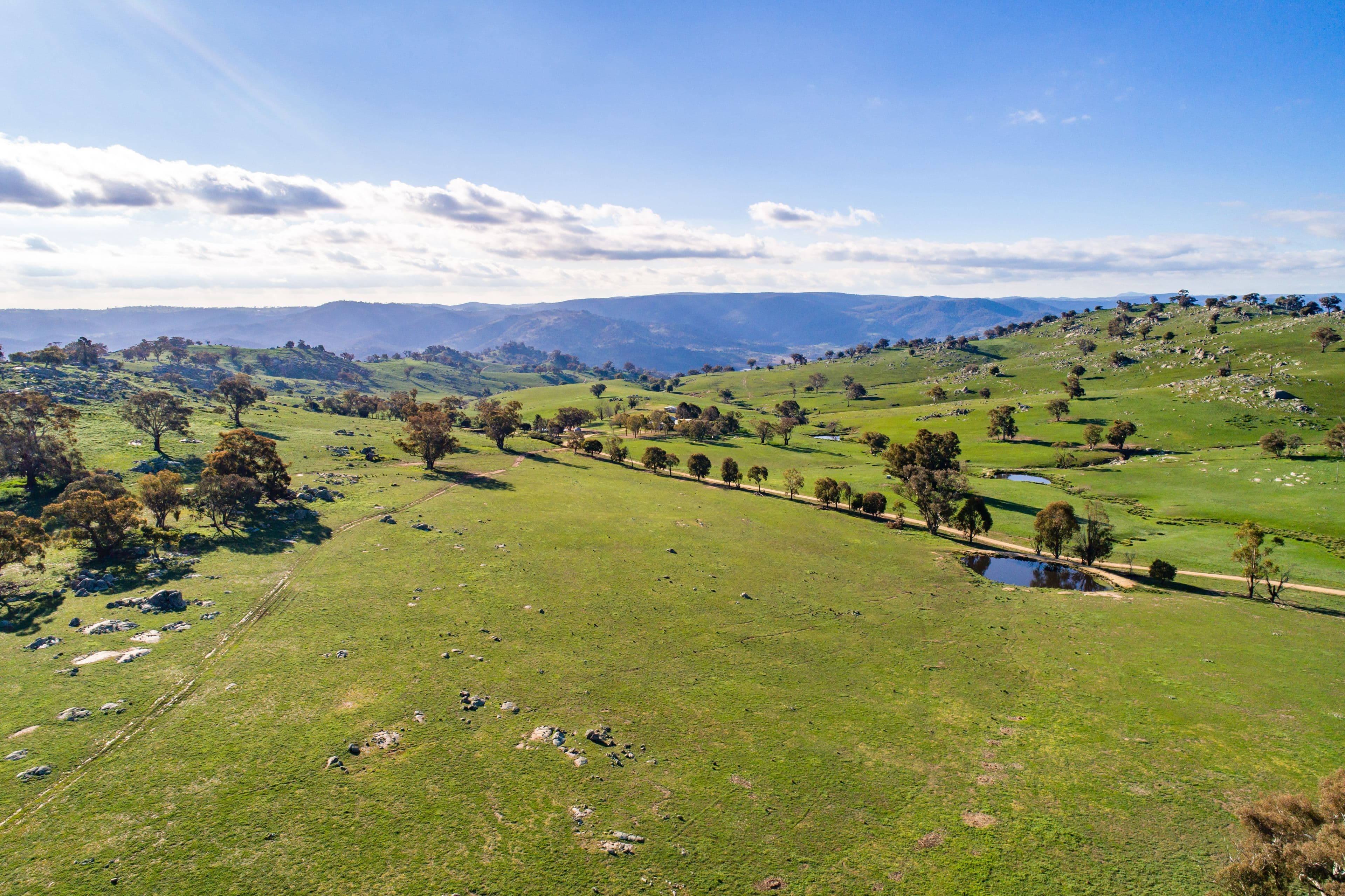 635 Decca Road, Bigga NSW 2583, Bigga - Thumbnail 2