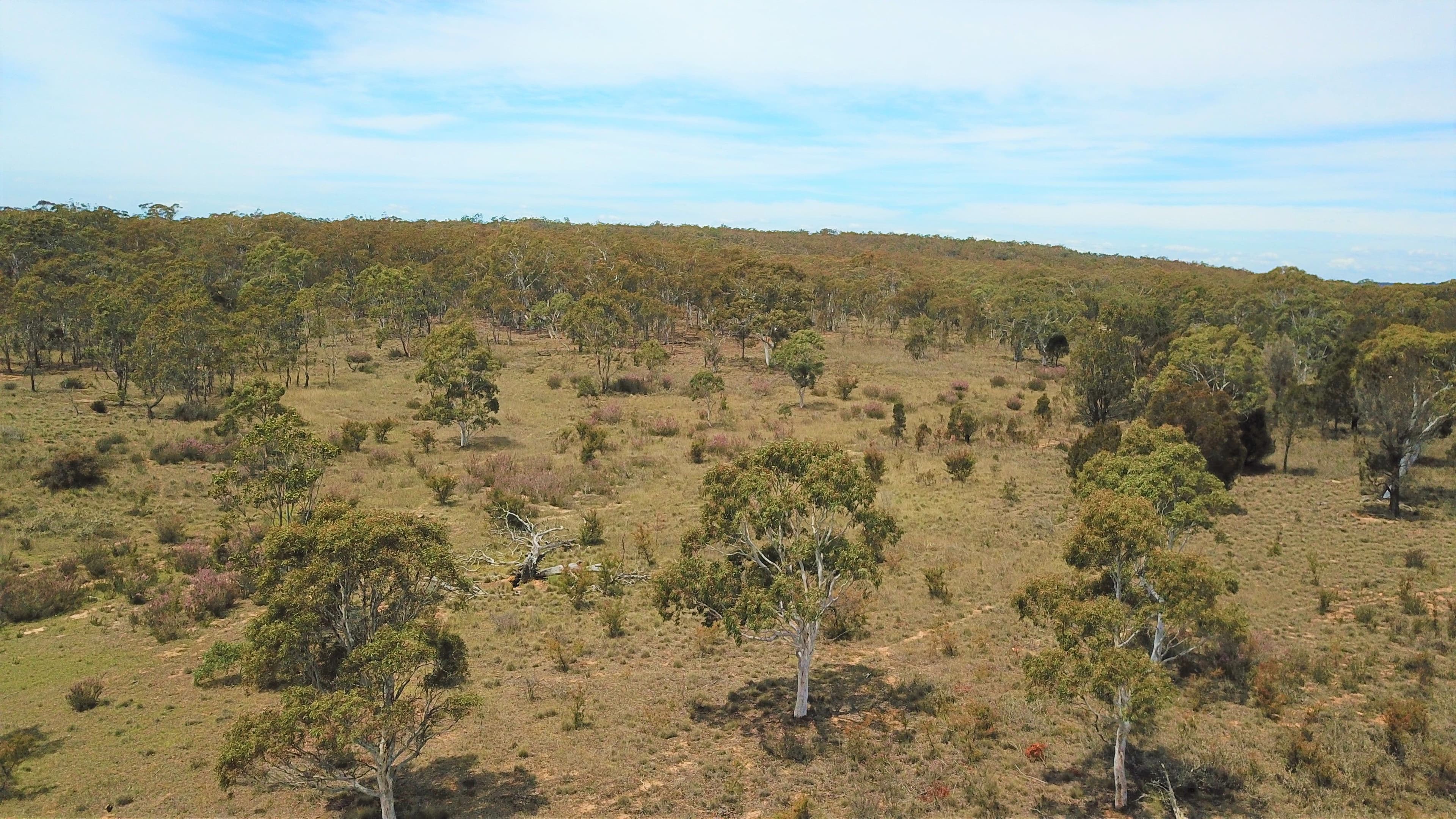 179 Masons and Owens Road, Goulburn NSW 2580, Goulburn - Thumbnail 6