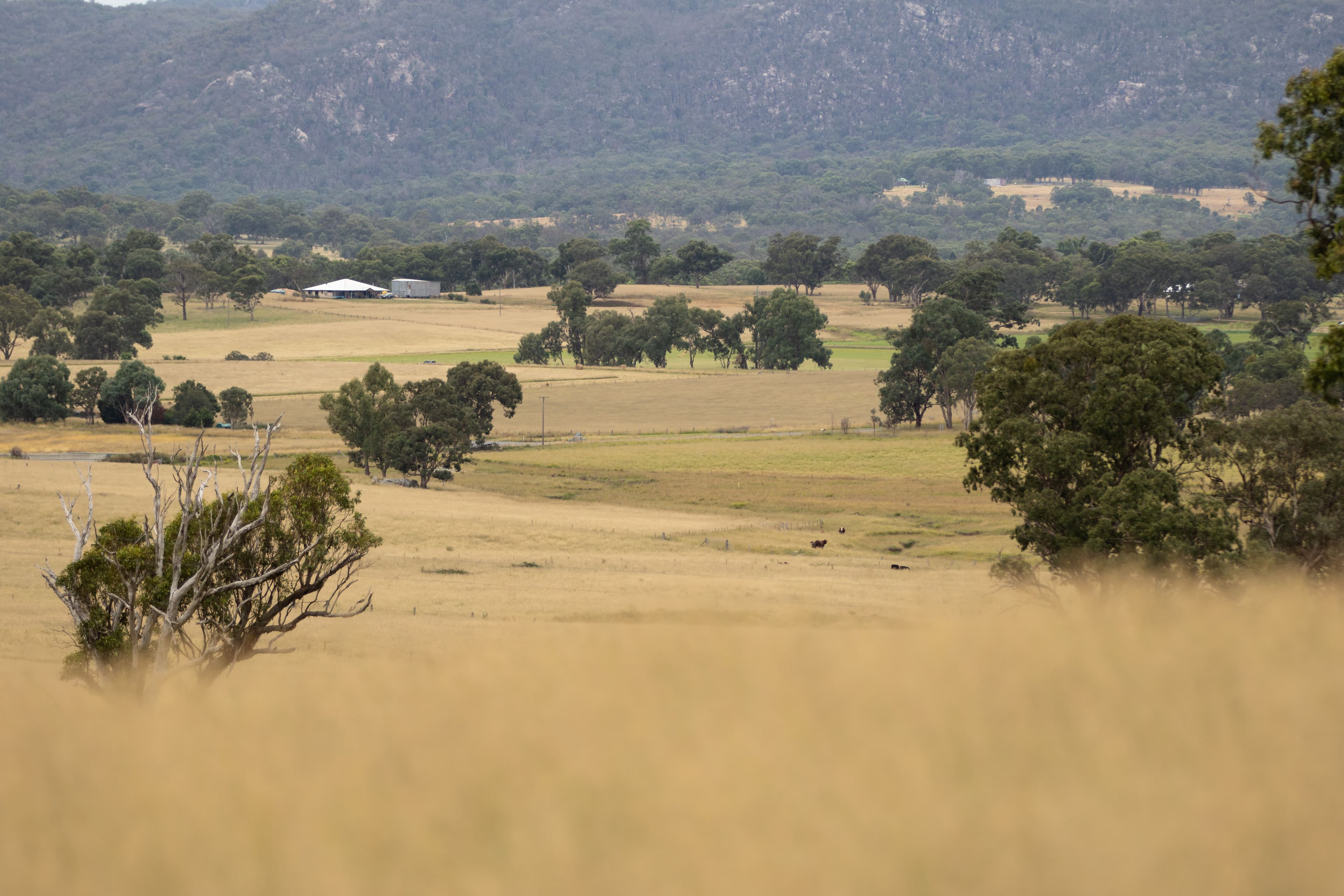 68 Ross Road, Tenterfield NSW 2372, Tenterfield - Thumbnail 7