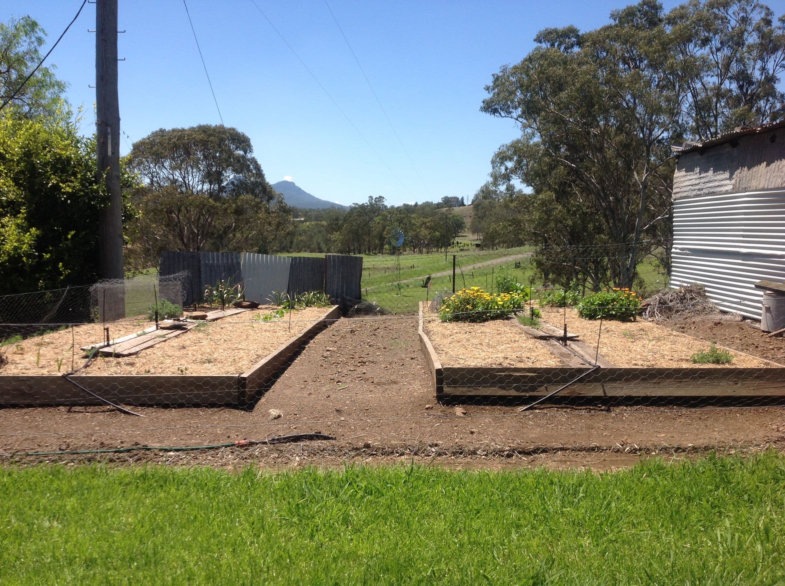 "Glenton" 526 South Branch Road, MARYVALE QLD 4370, Maryvale - Thumbnail 3