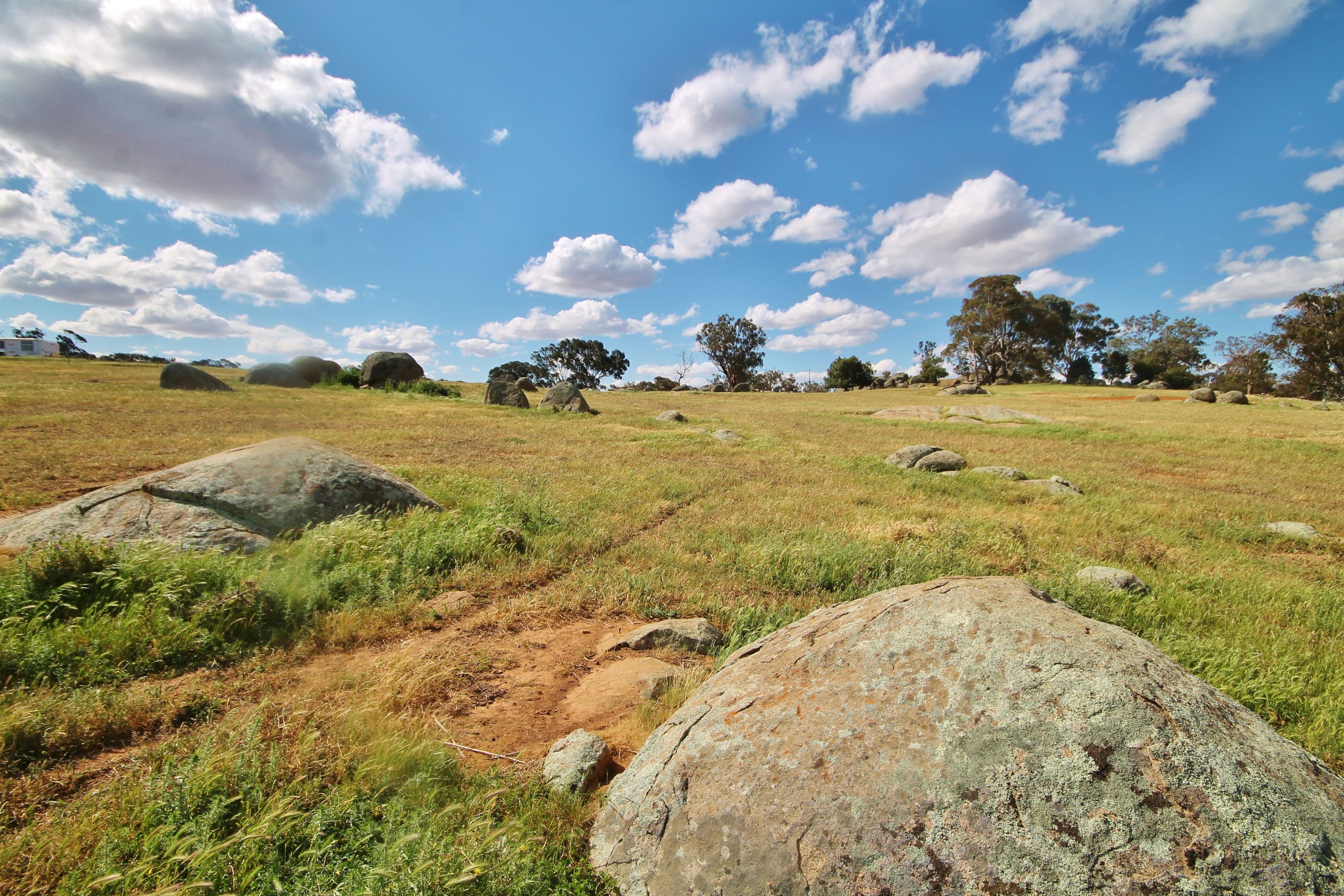 495 Spring Creek Road, Young NSW 2594, Young - Thumbnail 3